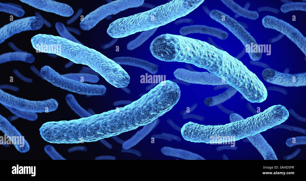 Batteri Legionella pneumophila che causano malattie respiratorie come malattia dei legionari come una forma seria di polmonite come una microbiologia patologica Foto Stock