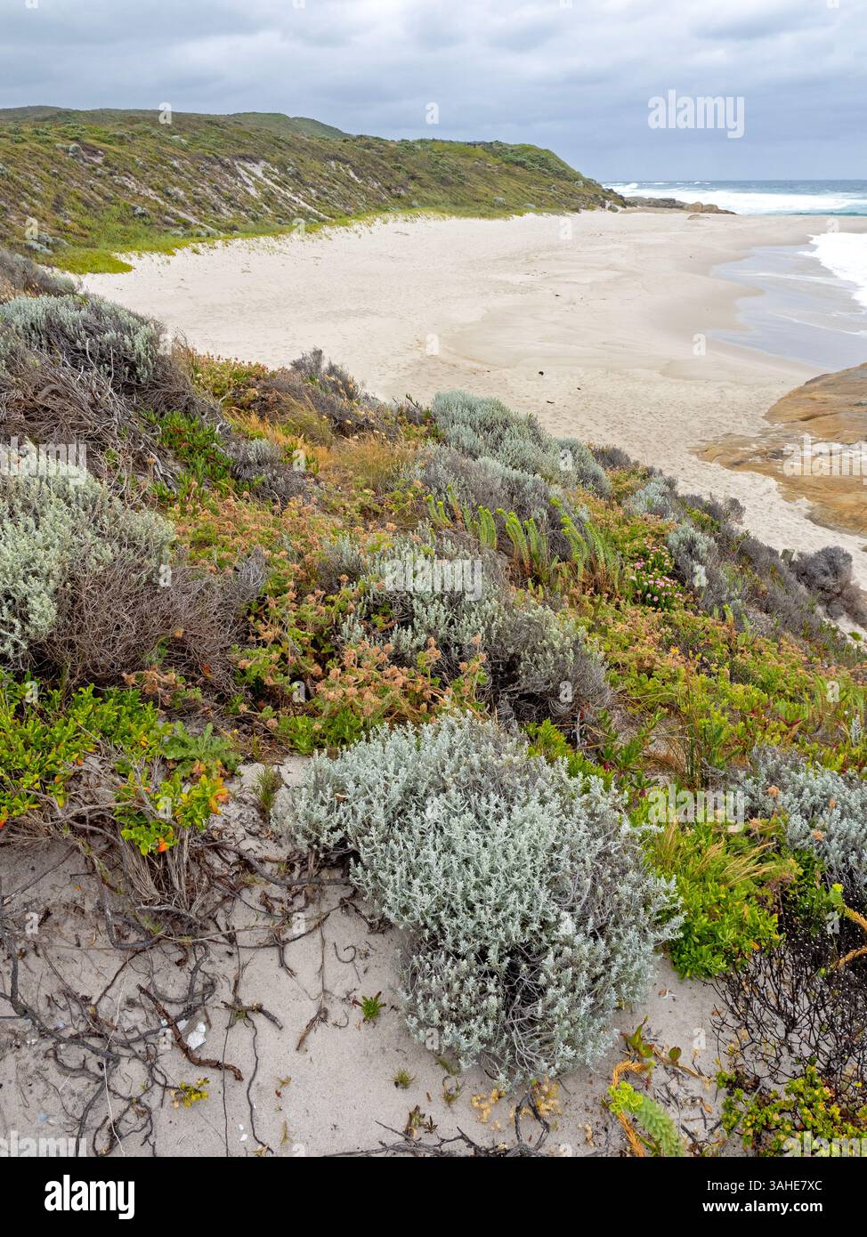 Spiaggia nel parco nazionale di William Bay Foto Stock