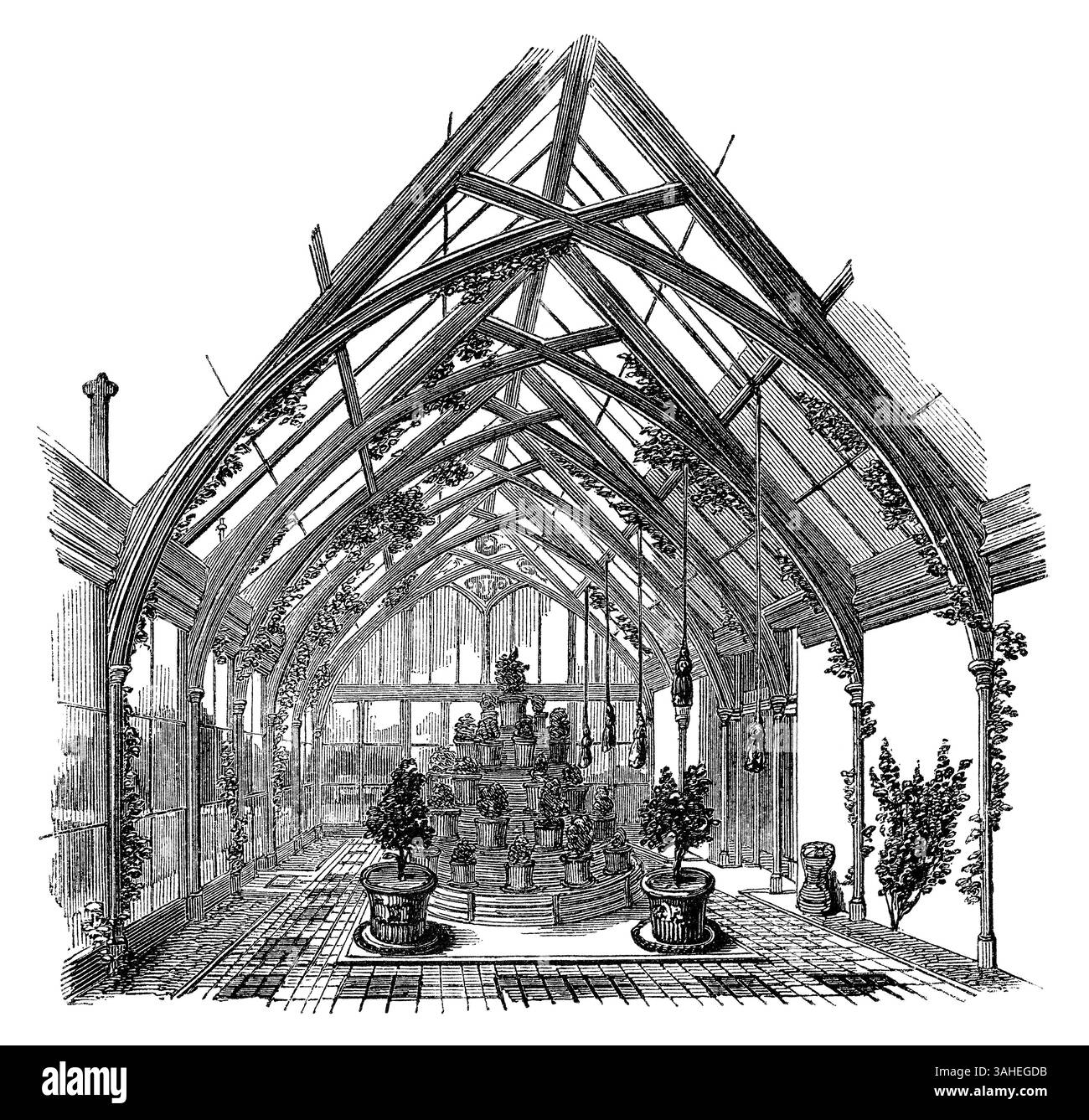 1854 incisione vintage dell'interno della serra di Burntwood Grange a Wandsworth vicino Londra. La residenza di H. Grisewood, Scudiero Foto Stock
