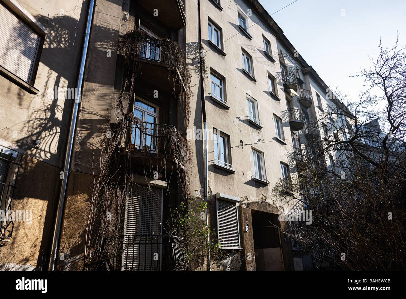 Uno storico edificio residenziale con vigne e ombre sulla sua facciata a Leopoli, Ucraina. Foto Stock