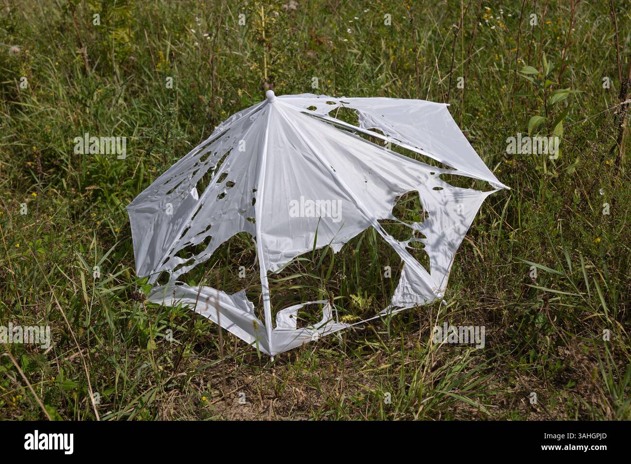 Ombrello bianco vecchio e resistente agli agenti atmosferici con fori, obsoleto, danneggiato e lasciato nell'erba. Foto Stock
