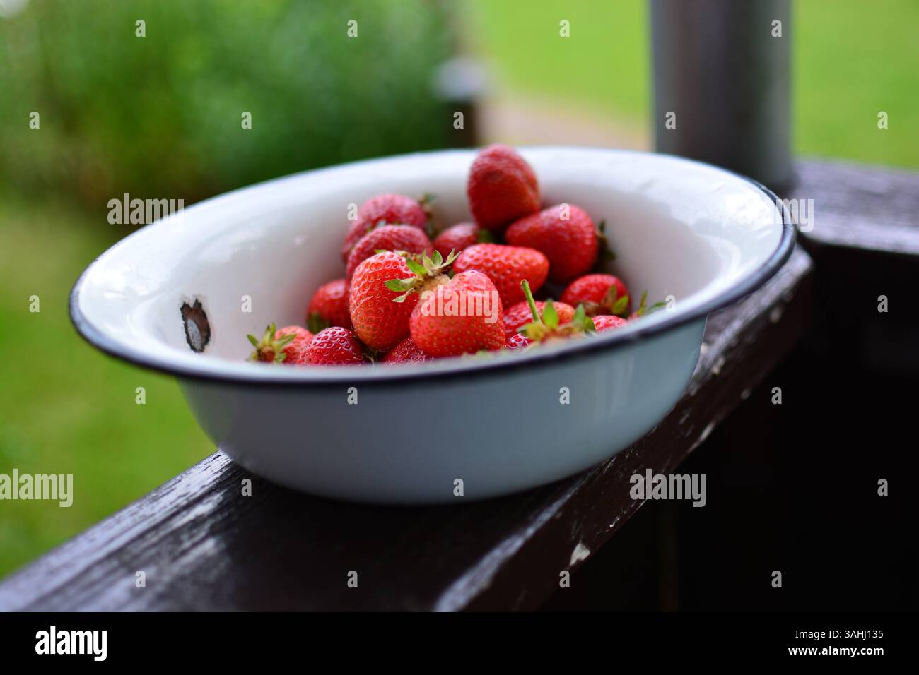Grande ciotola di fragole fresche in paese. Ciotola di fragole nel portico. Una ciotola vecchia scuola di fragole. Frutti di bosco in una vecchia ciotola nella zona rurale. Foto Stock