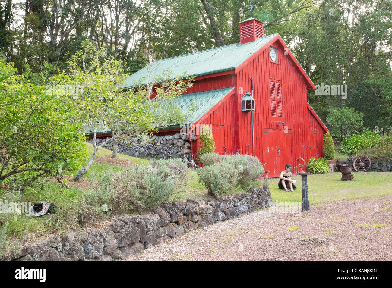 Un fienile rosso vibrante circondato da alberi e arbusti, con una persona seduta sull'erba nelle vicinanze. Auckland, nuova Zelanda Foto Stock