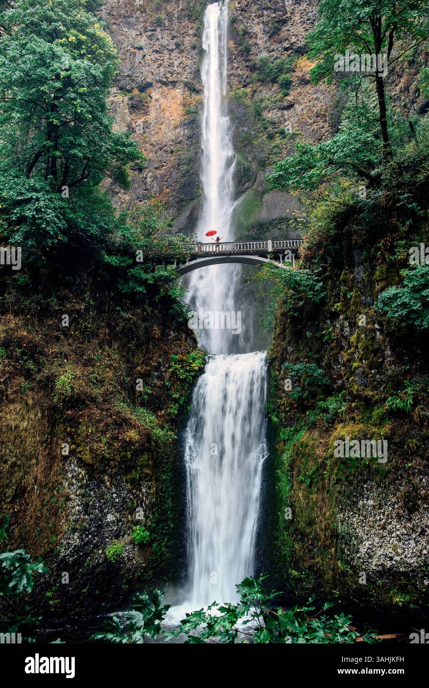 Le maestose cascate si tuffano nella lussureggiante foresta verde con un ponte e una donna che tiene un ombrello. Silver Falls, Oregon, Stati Uniti Foto Stock