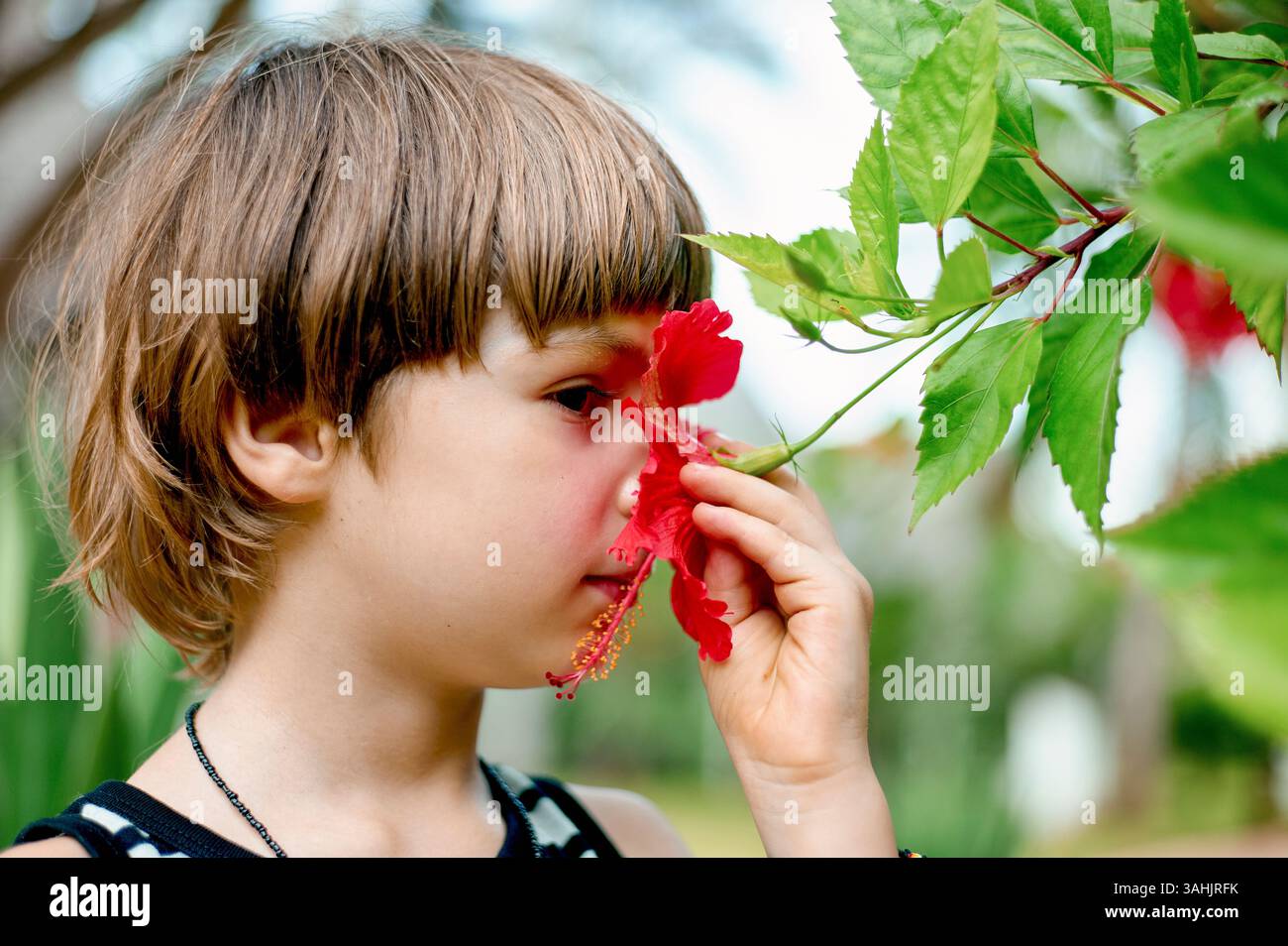 Il bambino odora un vivace fiore di ibisco rosso in un giardino lussureggiante. Tanzania, Zanzibar Foto Stock