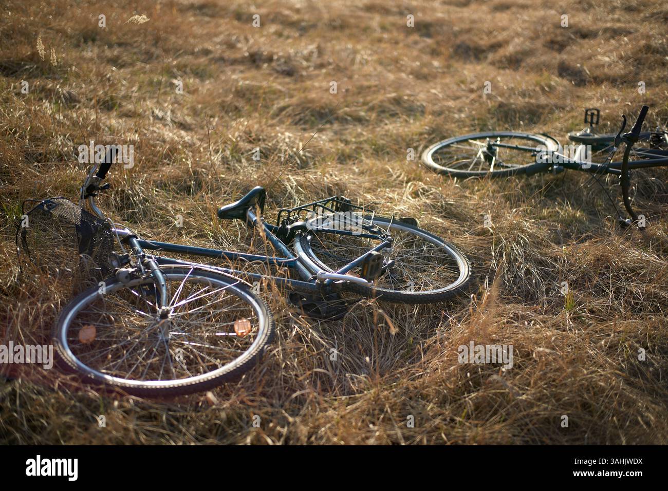Due biciclette giacciono su erba asciutta in un campo illuminato dal sole, creando un ambiente tranquillo all'aperto. Brandeburgo, Germania Foto Stock