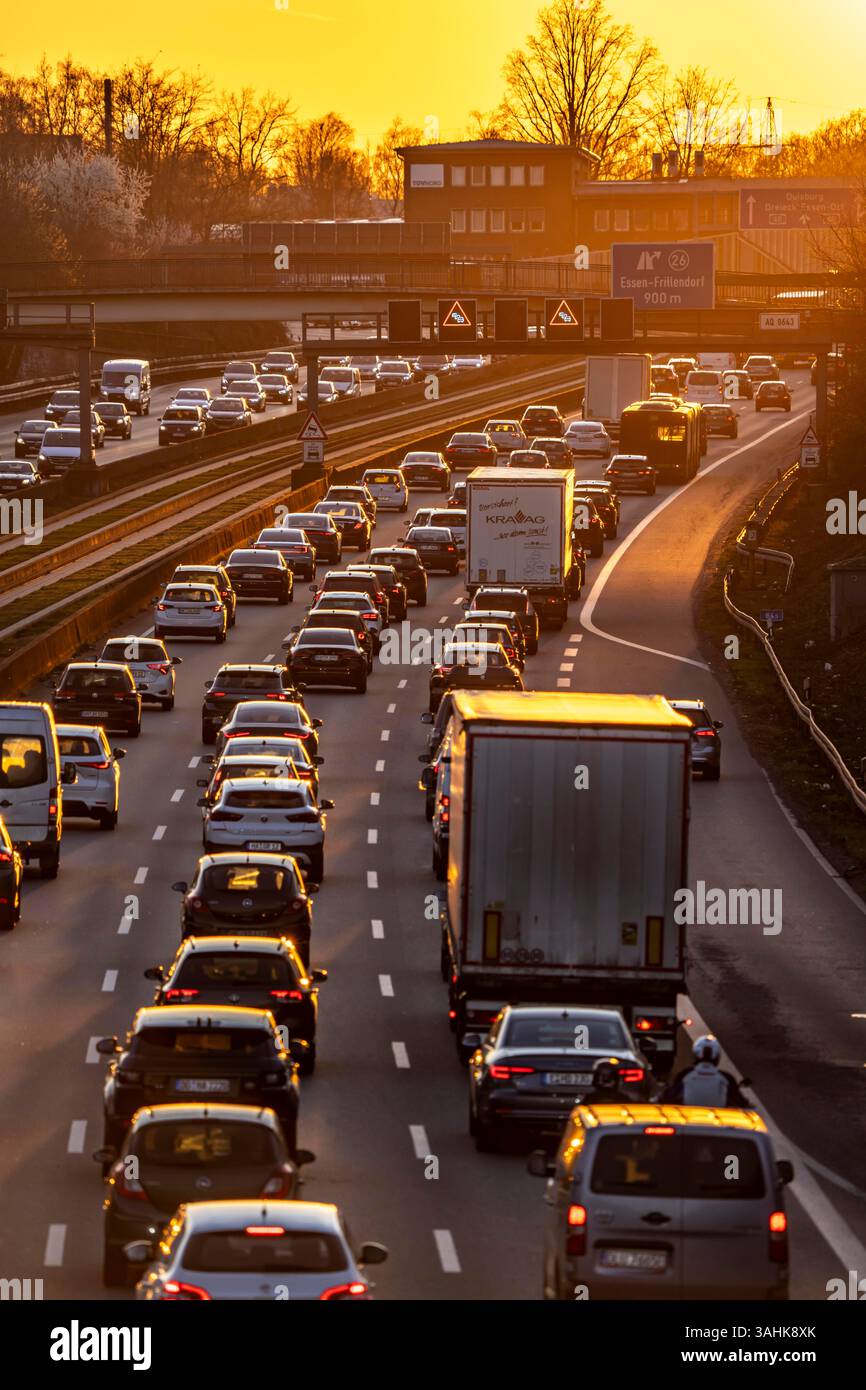 Autostrada A40, traffico intenso e lento, ora di punta serale allo svincolo di Essen-Kray, sole basso, linea di autobus nel mezzo dell'autostrada Foto Stock