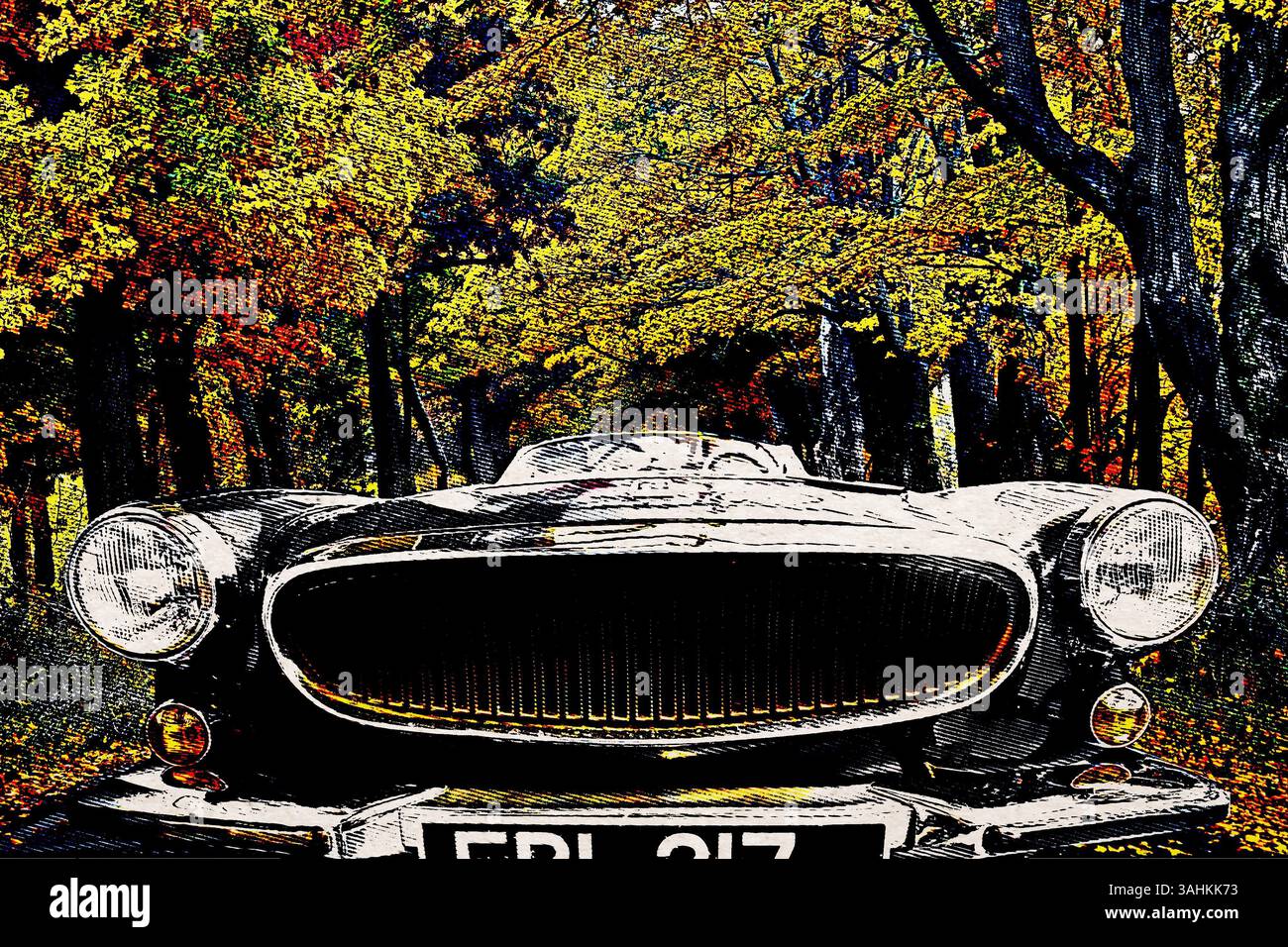 1973 Volvo P1800. Foto Stock