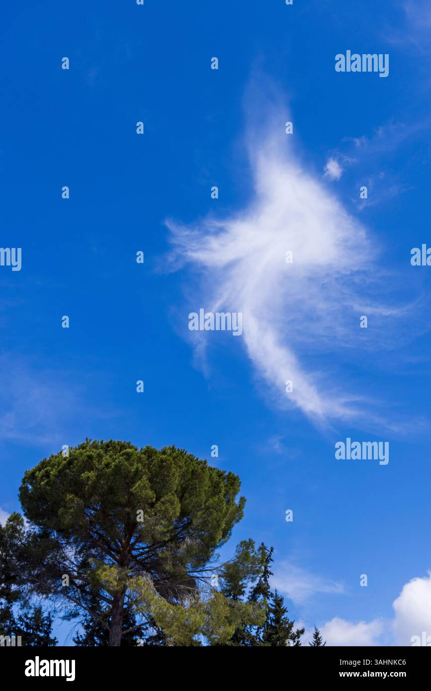 NUVOLE E ALBERI WHISPY BLU VERDE SEMPLICITÀ TRANQUILLA Foto Stock