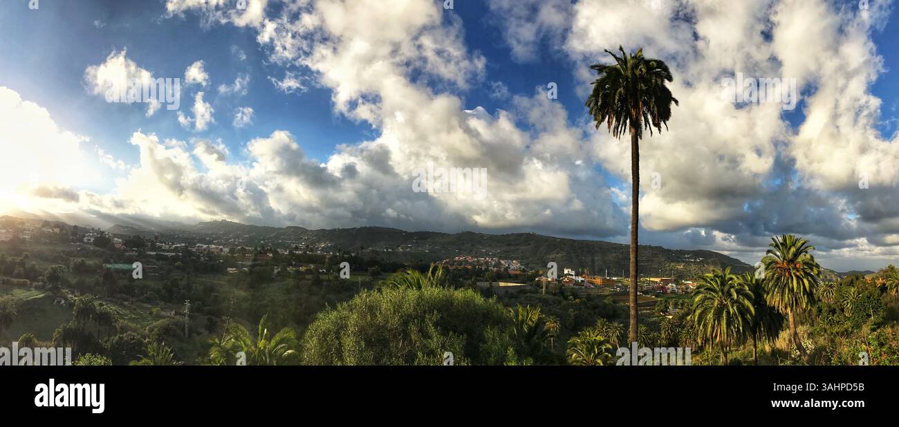 Vista panoramica e soleggiata con palme, campagna mediterranea e un cielo vibrante pieno di nuvole sparse. Ambiente incantevole per una fuga, Foto Stock