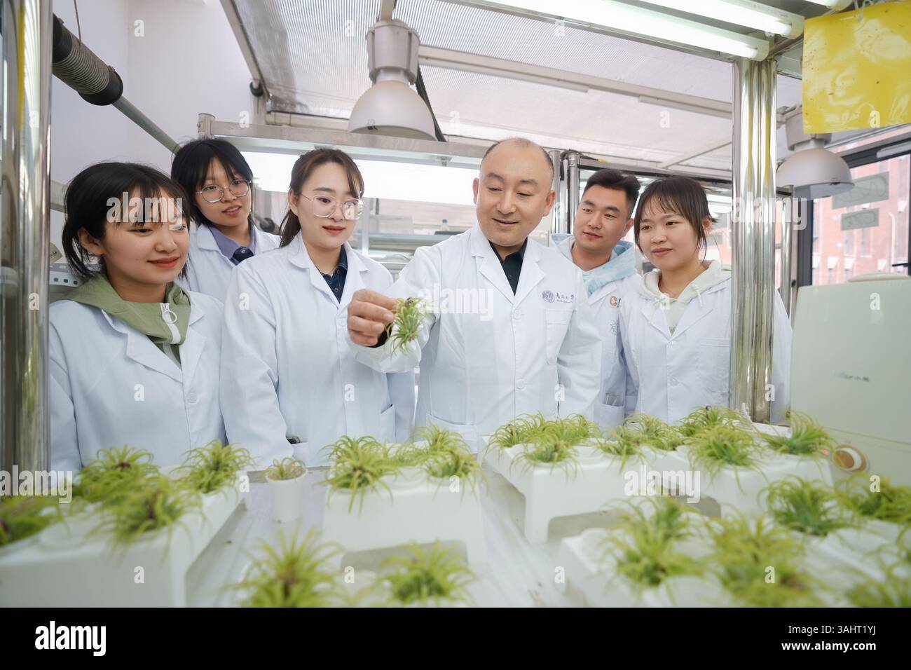 (250410) -- TIANJIN, 10 aprile 2025 (Xinhua) -- i ricercatori del College of Environmental Science and Engineering dell'Università di Nankai conducono un esperimento di esposizione alla simulazione di impianti presso l'Università di Nankai a Tianjin, nel nord della Cina, il 9 aprile 2025. ANDARE CON "gli scienziati confermano la capacità delle foglie di piante di assorbire, accumulare microplastiche trasportate dall'aria" (Nankai University/Handout via Xinhua) Foto Stock