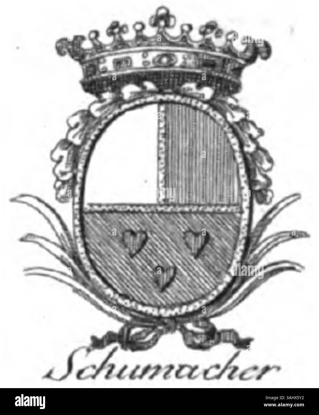 Questo stemma del 1782 rappresenta l'emblema araldico di Peter Christian Schumacher, che descrive la discendenza e il patrimonio nobile della sua famiglia. L'opera d'arte mostra il design araldico tradizionale, con dettagli intricati ed elementi simbolici che riflettono lo status e l'identità della famiglia. Foto Stock