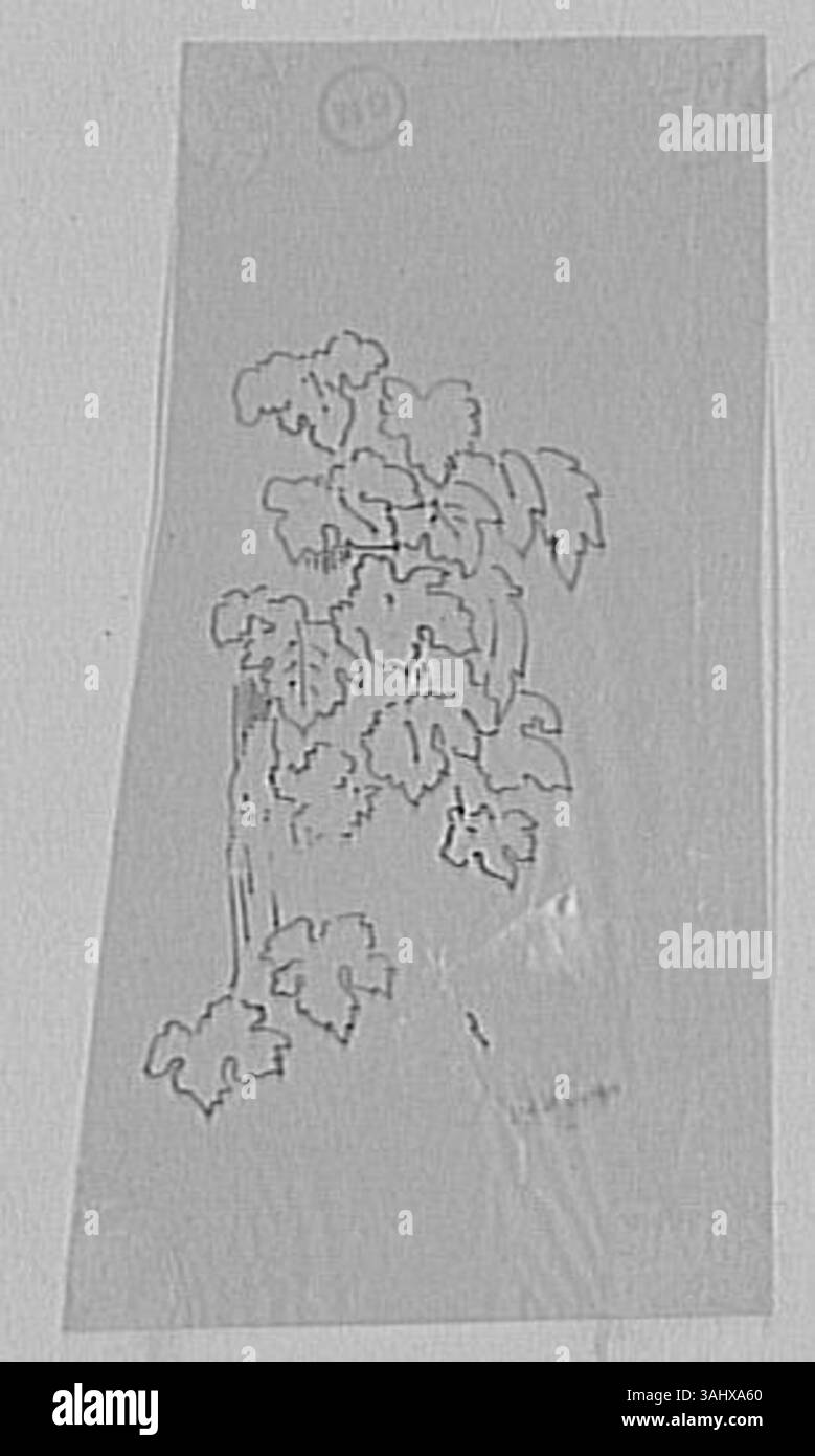 Questo studio botanico sulle foglie di vite di Gustave Moreau mostra la sua attenzione per i dettagli e l'apprezzamento per la natura. Completato tra il 1850 e il 1895, riflette il suo interesse a rappresentare le forme organiche con precisione. Foto Stock