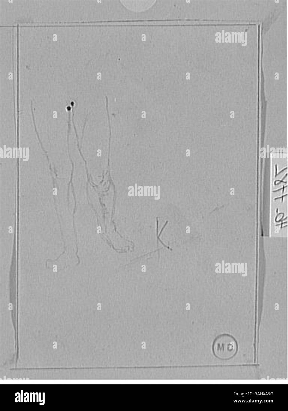 "Etude de jambes d'homme de Face" (Studio delle gambe di un uomo dal fronte) di Gustave Moreau, creato tra il 1850 e il 1895, è uno studio focalizzato sulla struttura anatomica e la postura delle gambe di un uomo. Il pezzo, ospitato nel Musée Gustave Moreau, mette in risalto l'attenzione di Moreau sull'anatomia umana e sul disegno di figure, esplorando il corpo umano da una prospettiva frontale. Foto Stock