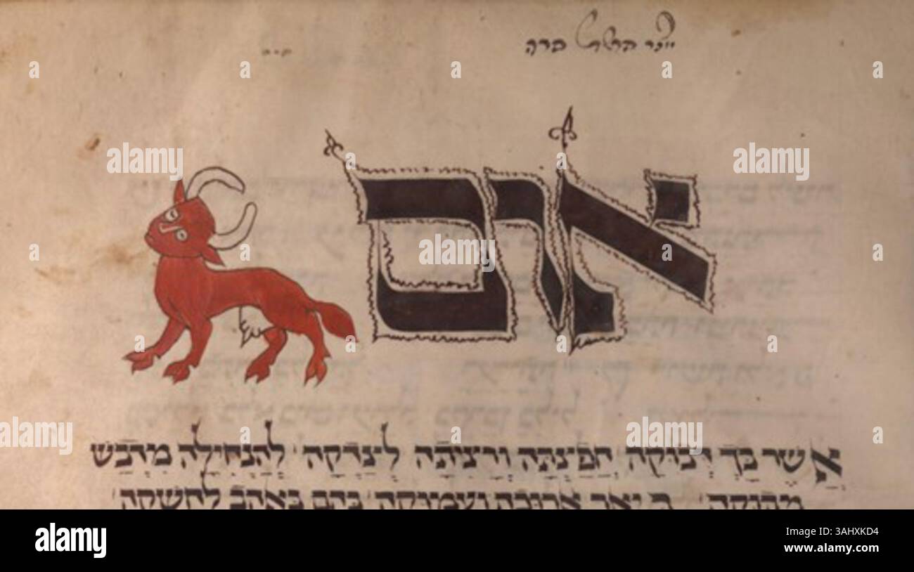 L'illustrazione "Parah Adumah" nell'Hammelburg Mahzor (1348) raffigura il sacrificio della giovenca rossa. Questo manoscritto miniato, fatto di pergamena e misura 305 x 230 mm, è ospitato presso l'Università e la Biblioteca di Stato di Darmstadt. Foto Stock