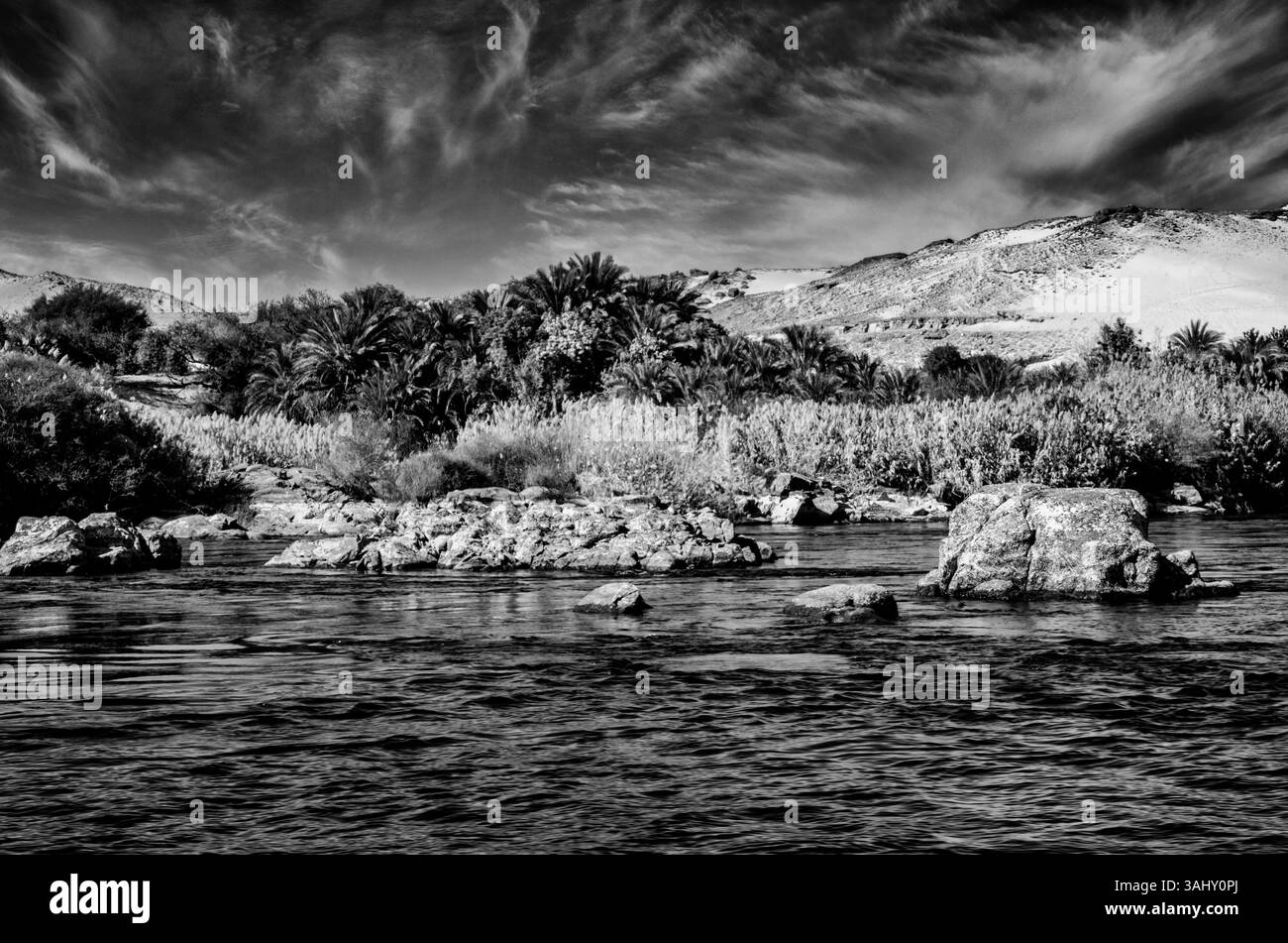 Rive del Nilo, Assuan, Egitto. Febbraio 2023 Foto Stock