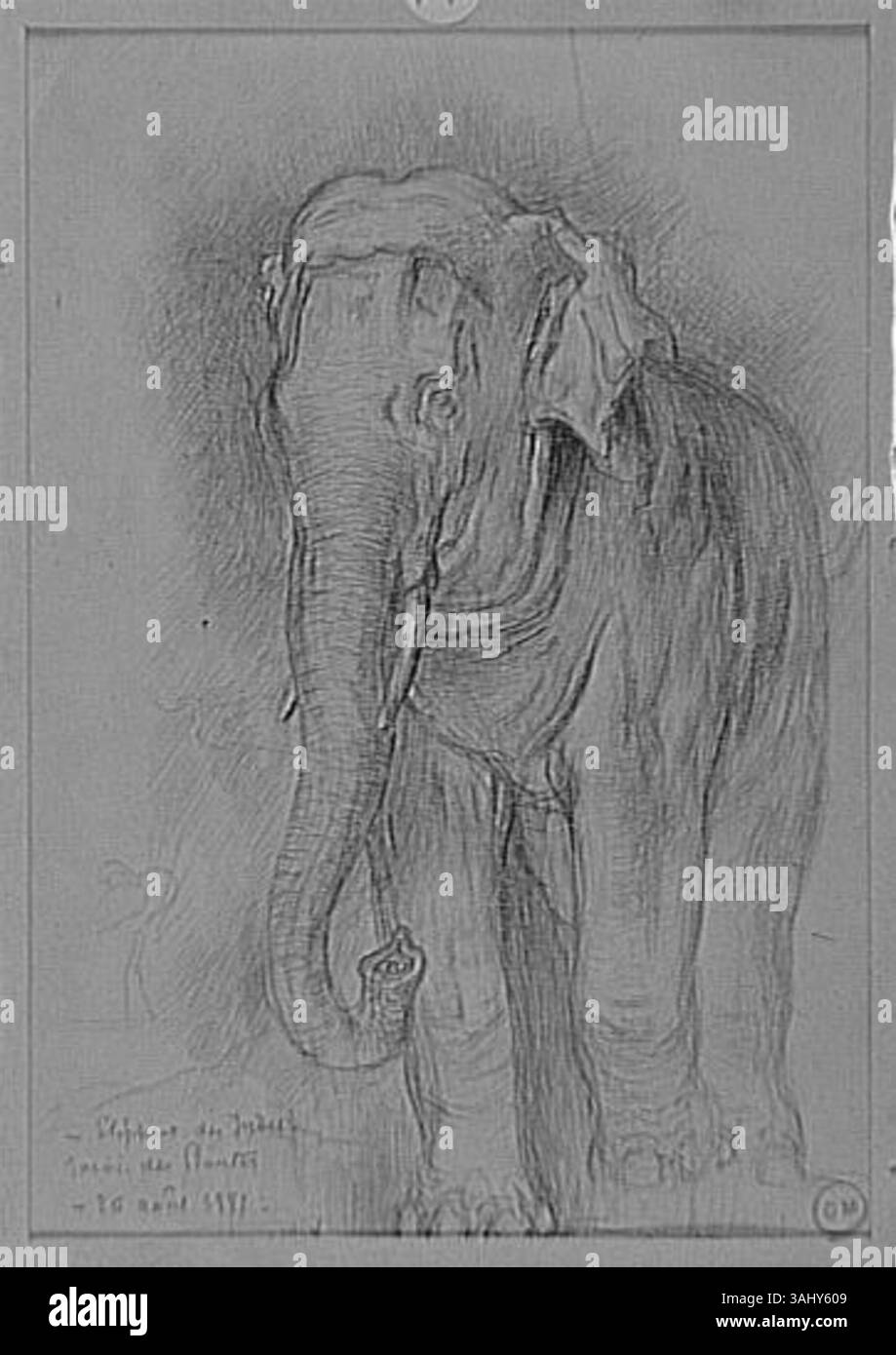 "Eléphant sur le vif" di Gustave Moreau è uno studio su un elefante. Creato tra il 1850 e il 1895, cattura la forma naturale e le caratteristiche dell'animale, parte della collezione Musée Gustave Moreau. Foto Stock