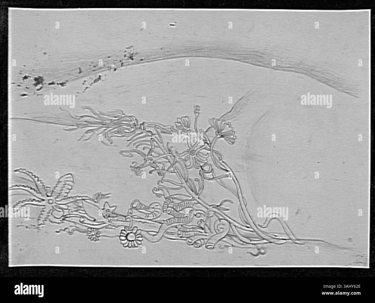 "Etude de coraux sur le Corps de Galatée" (studio dei coralli sul corpo di Galatea) di Gustave Moreau, creato tra il 1850 e il 1895, è uno studio preparatorio per la pittura di Galatea. L'opera, conservata nel Musée Gustave Moreau, si concentra sulla rappresentazione del corallo posto sulla forma umana, esplorando la fusione di elementi naturali con il corpo umano in un contesto mitologico. Foto Stock