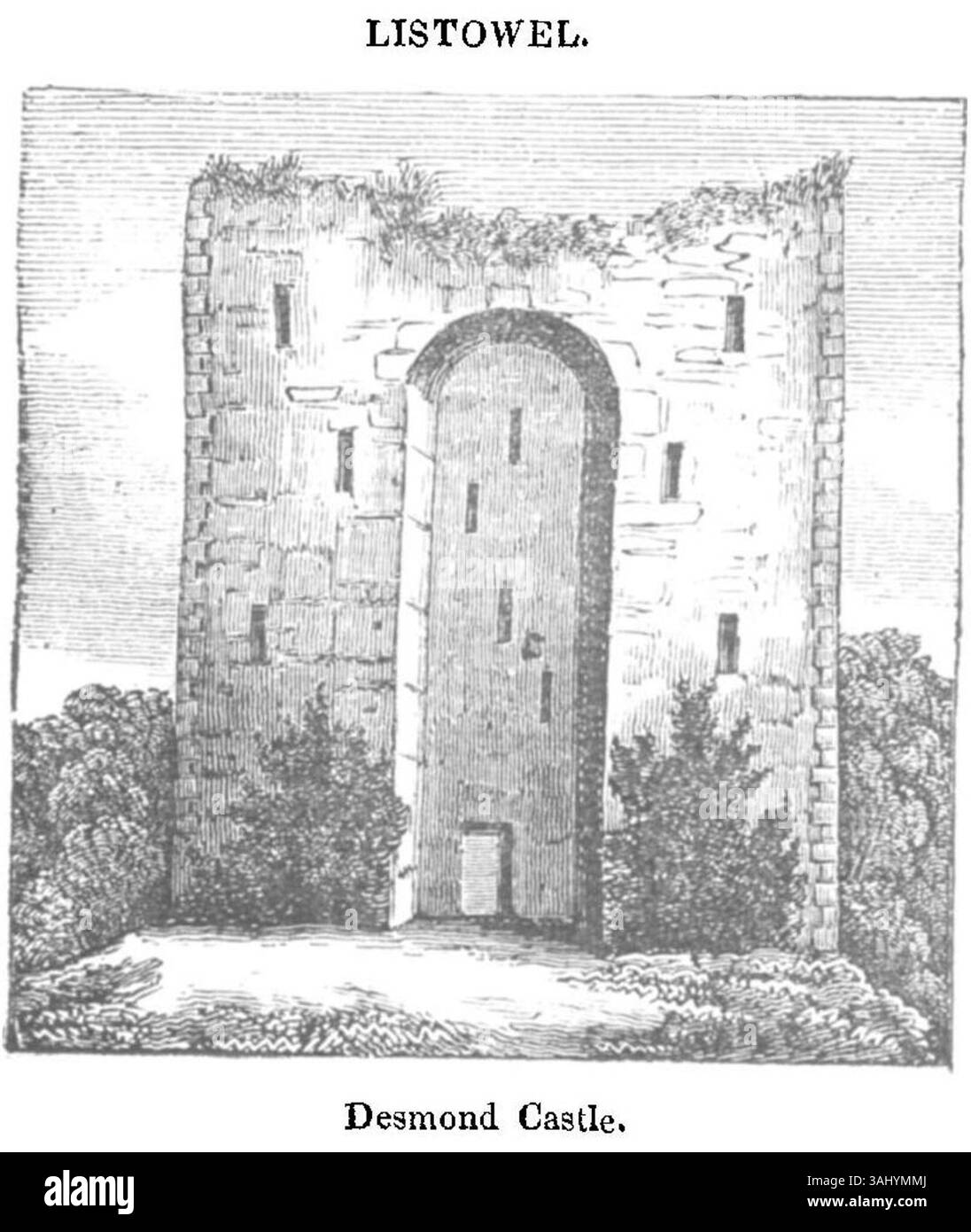 Questa immagine raffigura il castello di Desmond a Listowel, contea di Kerry, Irlanda, visto nel 1836. La struttura, che rappresenta un mix di architettura medievale e antica moderna, si erge come un monumento storico chiave della zona. Foto Stock