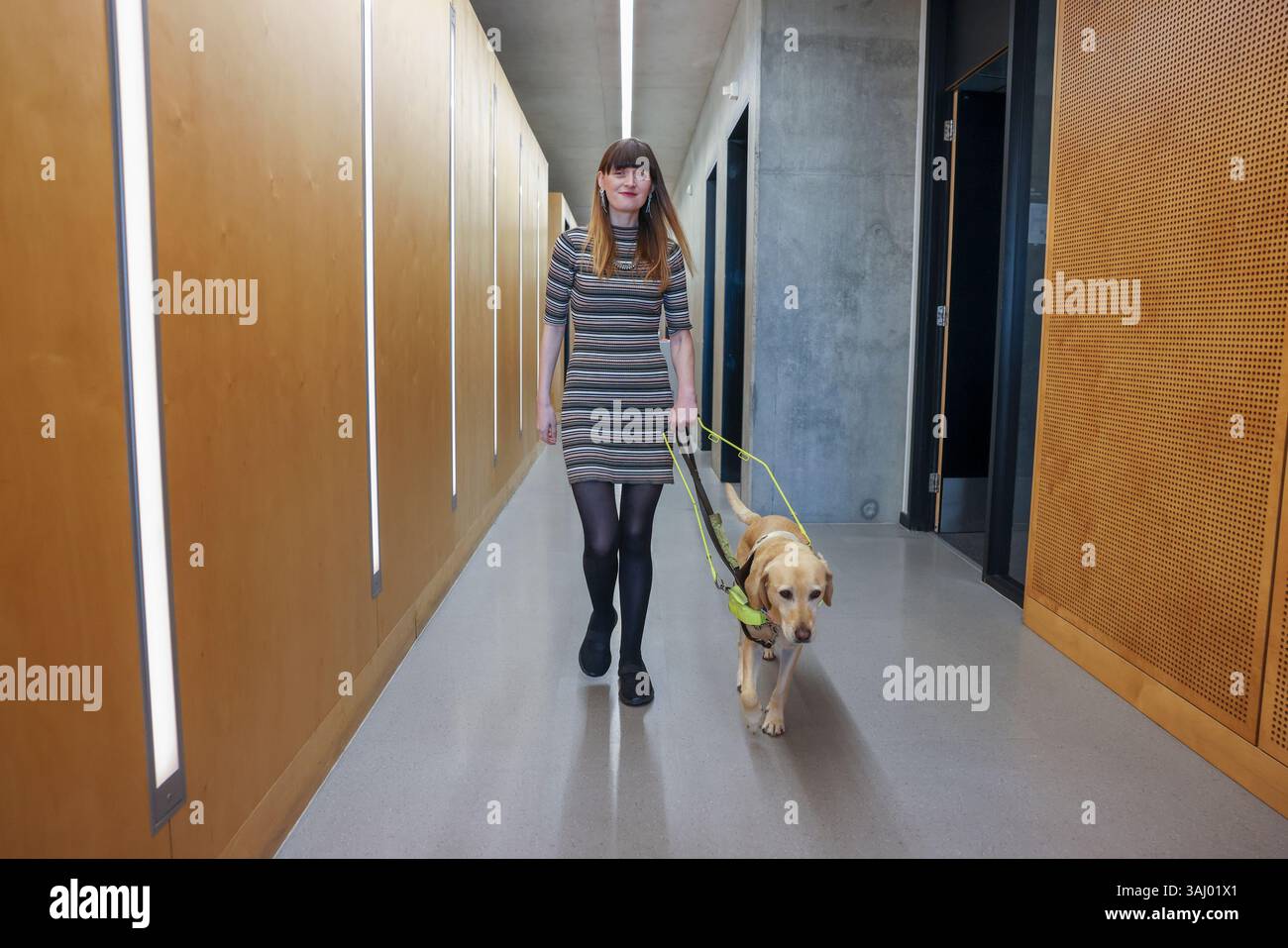Donna cieca con cane guida in ufficio Foto Stock