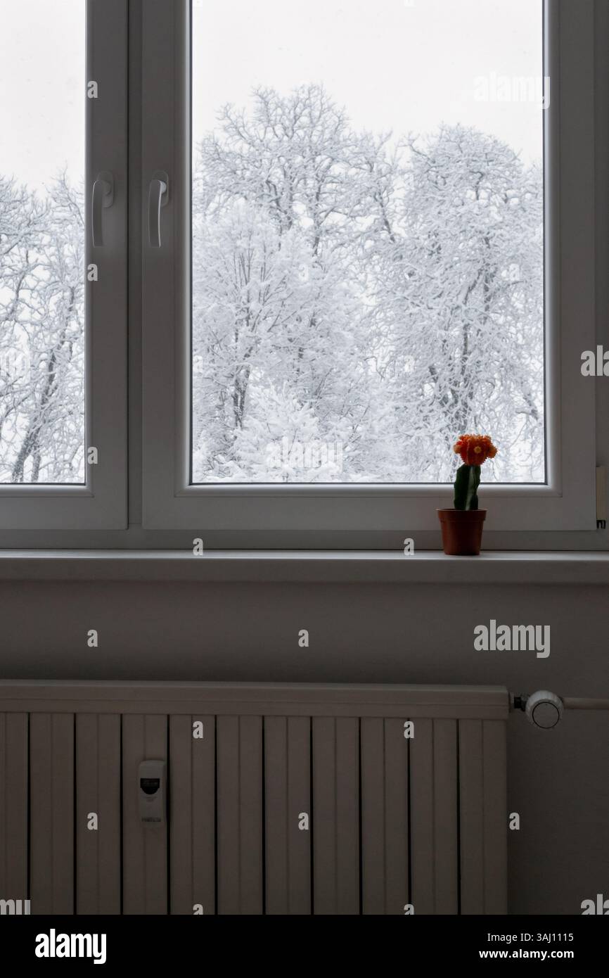Parte di una finestra in una stanza. in cui è possibile vedere l'inverno fuori, neve bloccata sui rami degli alberi. C'è un radiatore sotto la finestra - riscaldare una stanza Foto Stock