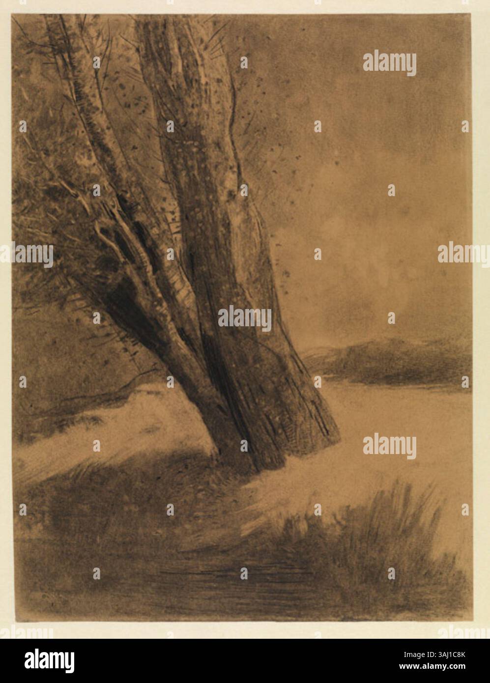 Creato intorno al 1875, «Baum, nach links geneigt» (albero, pendente a sinistra) da Odilon Redon esplora forme naturali con una qualità onirica. L'artista utilizza colori tenui e linee intricate per trasmettere un senso di profondità e movimento in natura. Foto Stock