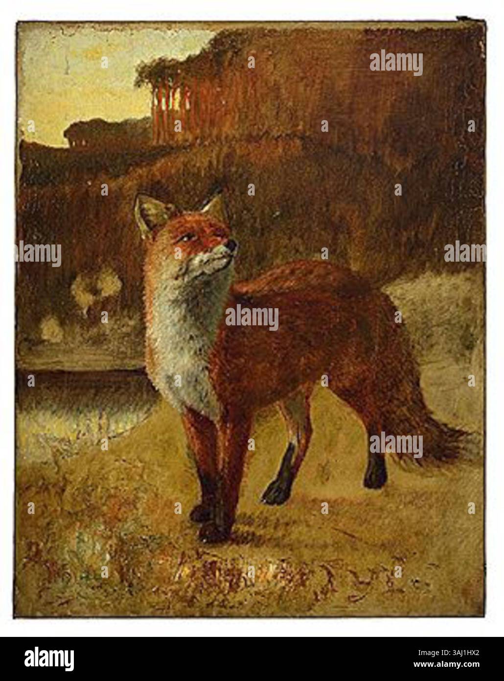 "Spying Fox at the Edge of the Forest" di Eduard Ockel è un dipinto ad olio che raffigura una volpe in un momento di attenzione mentre guarda dal bordo di una foresta. Dipinto prima del 1910, questo lavoro cattura la profonda consapevolezza dell'animale e l'ambiente naturale. Foto Stock