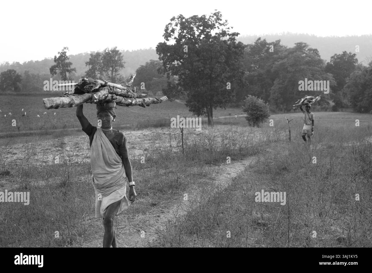 28 dicembre 2011 - , India - Chhattisgarh: La terra ricca dei poveri domanda appropriata per gli economisti:Ê nei 60 anni di indipendenza dell'India perché una terra ricca di minerali come Chhattisgarh ospita ancora le persone più povere dell'India? Le regioni settentrionali di Korba, Raigarh e Surguja hanno circa il 18% delle riserve di carbone del paese. Nella sua regione meridionale Bastar (inclusa Dantewada) ci sono almeno il 20% delle riserve di minerale di ferro del paese. In parti del distretto di Raipur che confinano con Orissa hanno scoperto depositi di diamanti. Ma proprio in questa regione, un gran numero di pianificati Foto Stock