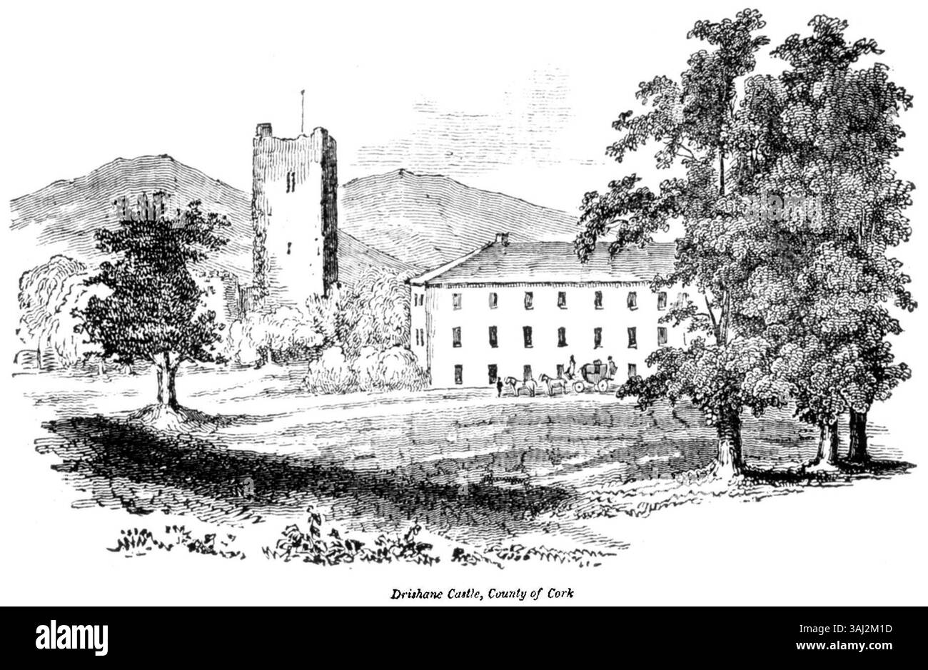 Il castello di Drishane, situato nella contea di Cork, Irlanda, è raffigurato in questa illustrazione del 1833. La struttura del castello, circondata da lussureggianti paesaggi verdi, riflette la grandezza e il significato storico dei castelli irlandesi. L'opera d'arte enfatizza sia l'edificio che l'ambiente naturale. Foto Stock
