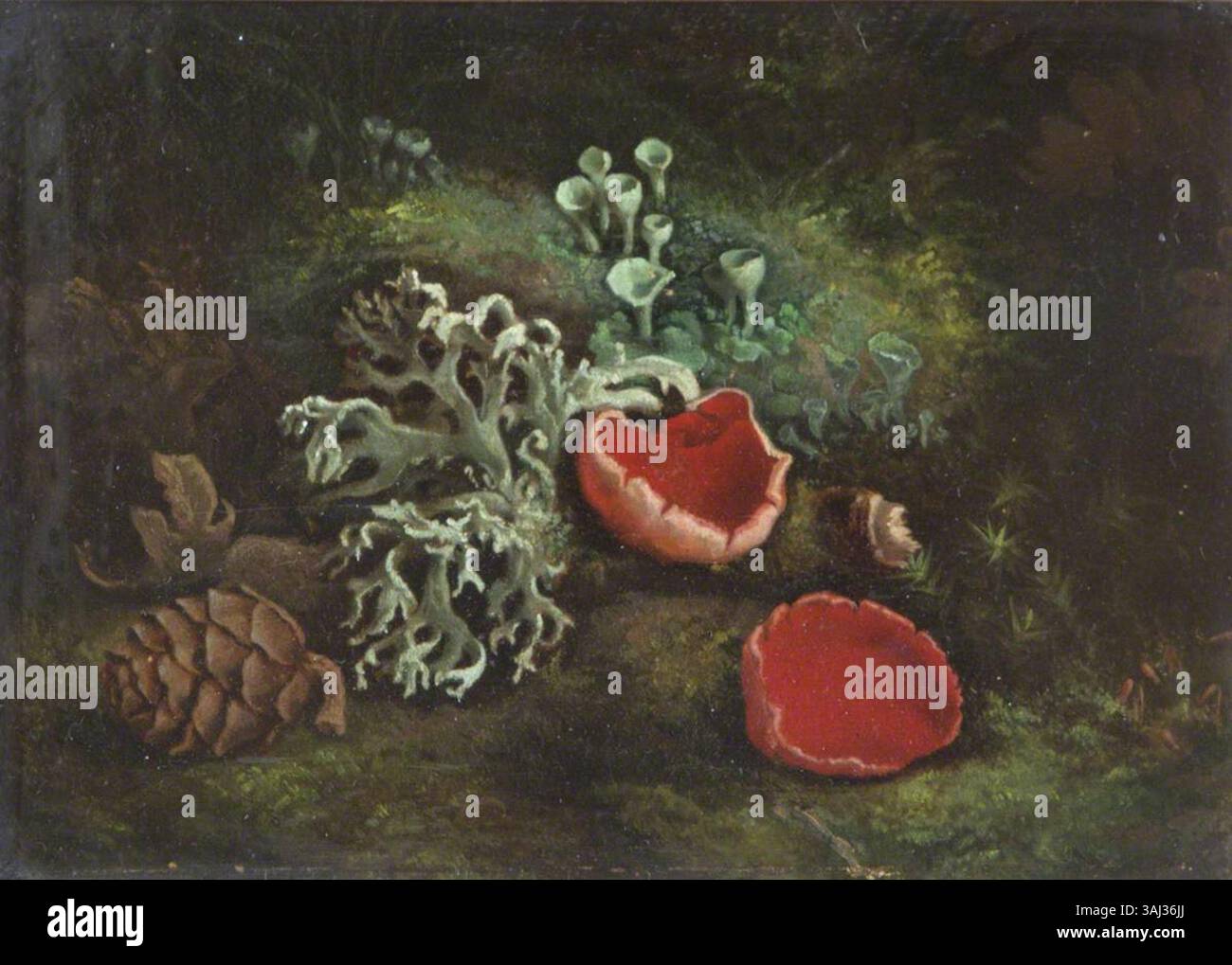 Questo dipinto di natura morta, creato tra il 1800 e il 1900, presenta sgabelli e un cono di abete. Fa parte della collezione del National Trust ed esemplifica la tradizione naturalista dell'arte britannica. Foto Stock