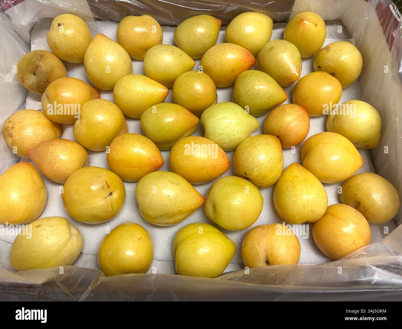 Agnello, giallo prugne di agnello, prugne gialle di agnello, frutta a nocciolo sciolta, cassa di prugne gialle, vista dall'alto, coltivazione della frutta, consumismo, prodotti freschi dell'azienda agricola Foto Stock