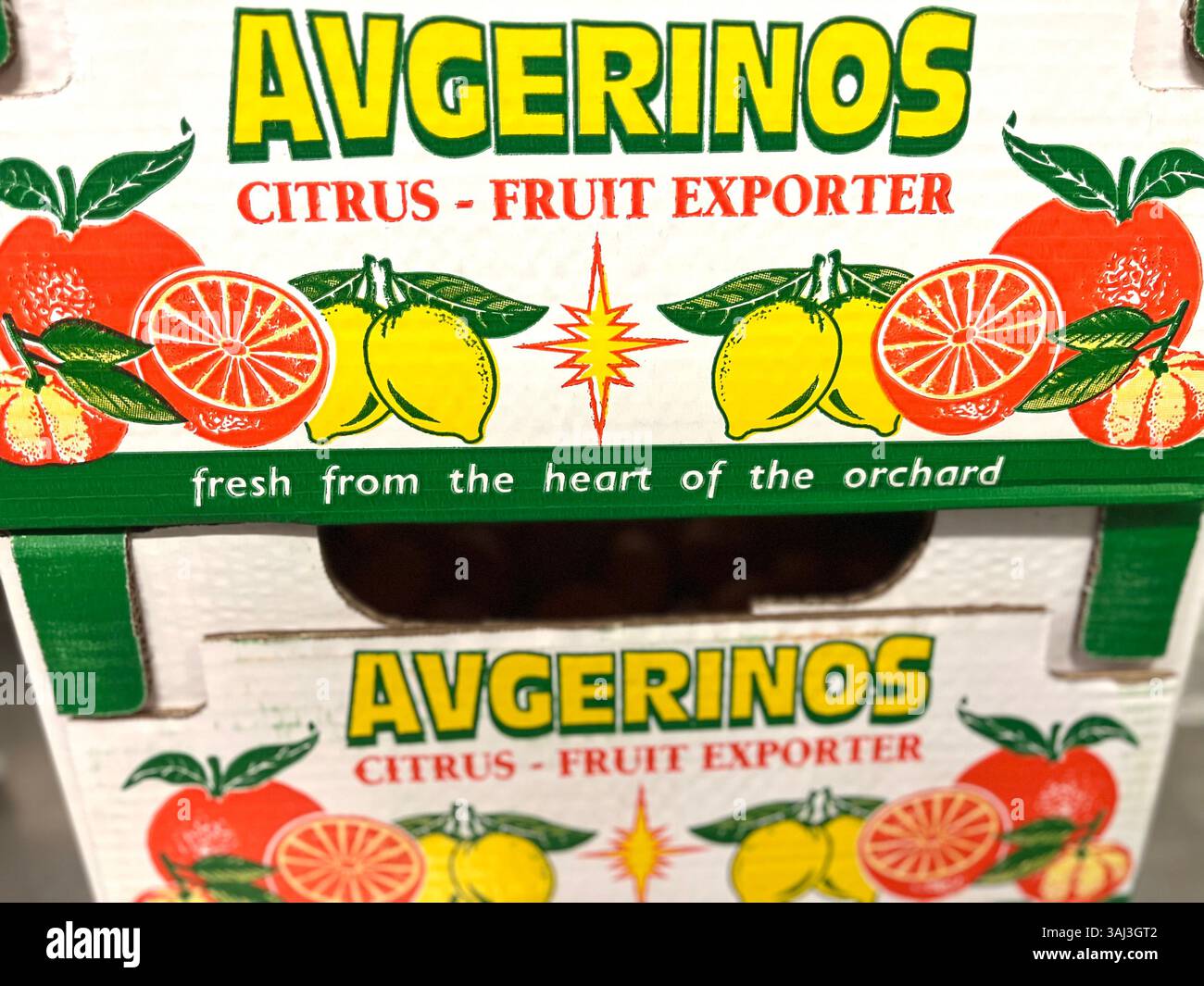 Avgerinos, esportatore di agrumi, fornitore di frutta, fornitore greco, industria ortofrutticola, agricoltura, approvvigionamento alimentare, logistica, distribuzione, catena di approvvigionamento - Immagine stock catturata con smartphone