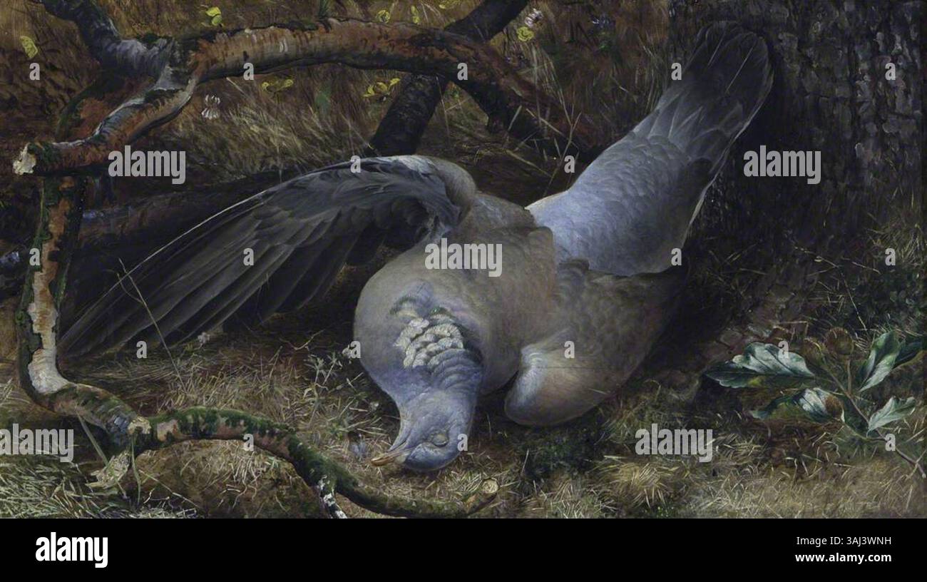 Questo dipinto britannico del XIX secolo raffigura un piccione morto, che mostra l'attenzione dell'artista ai dettagli nel soggetto animale. L'opera d'arte a olio su tela riflette l'attenzione sul realismo nell'arte della storia naturale. Foto Stock