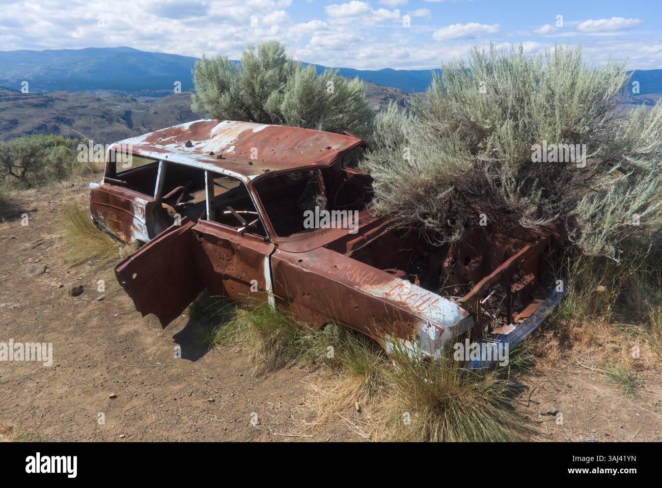 Relitto coperto lungo il sentiero di Battle Bluff, Lac du Bois Grasslands Protected area, Kamloops, British Columbia, Canada Foto Stock