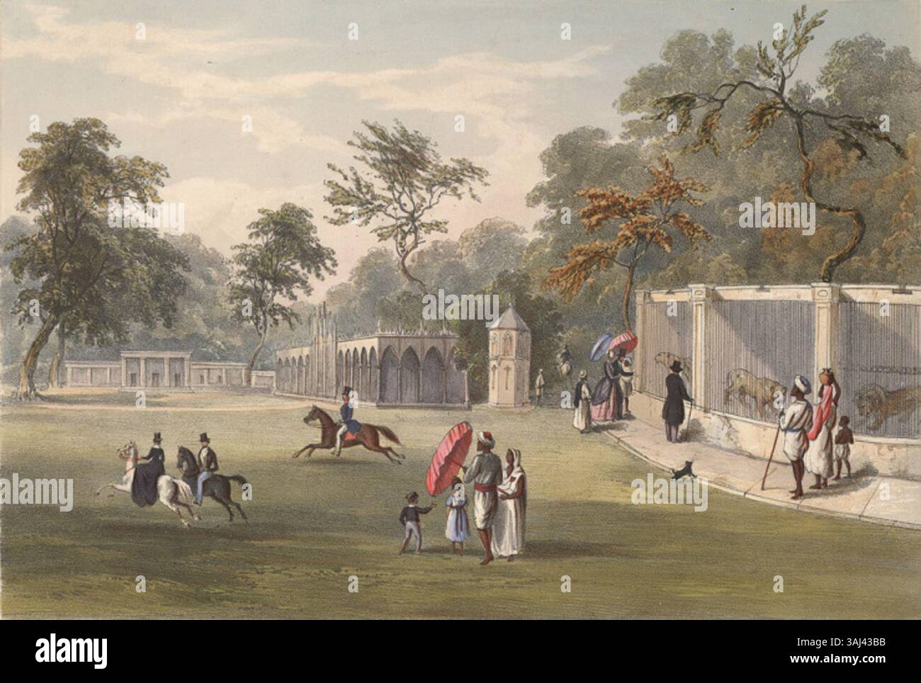 La litografia del 1848 di Charles D'Oyly cattura la Menagerie di Barrackpore, con vari animali esotici nel loro recinto. La raffigurazione di D'Oyly fornisce informazioni sulle collezioni zoologiche dell'epoca coloniale, riflettendo gli interessi coloniali britannici nel mostrare specie rare durante il XIX secolo. Foto Stock
