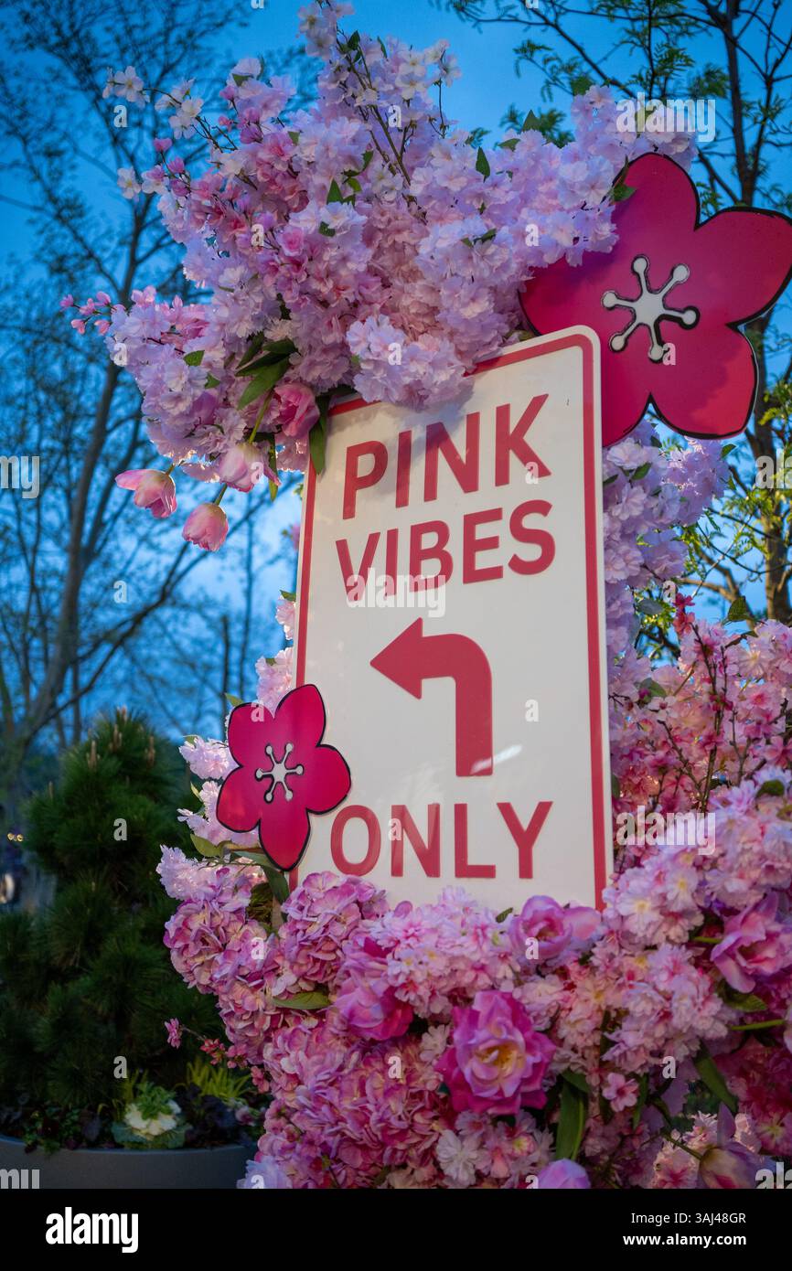 ARLINGTON, Virginia - Un cartello "Pink Vibes Only" segna l'ingresso all'area del parco acquatico di Crystal City durante la stagione della fioritura dei ciliegi. La vibrante segnaletica rosa accoglie i visitatori in questo spazio ricreativo urbano nel quartiere di Crystal City ad Arlington. La decorazione stagionale coincide con il National Cherry Blossom Festival, celebrato in tutta l'area metropolitana di Washington DC. Il parco acquatico di Crystal City offre fontane e spazi pubblici che attirano visitatori durante la stagione primaverile. Foto Stock