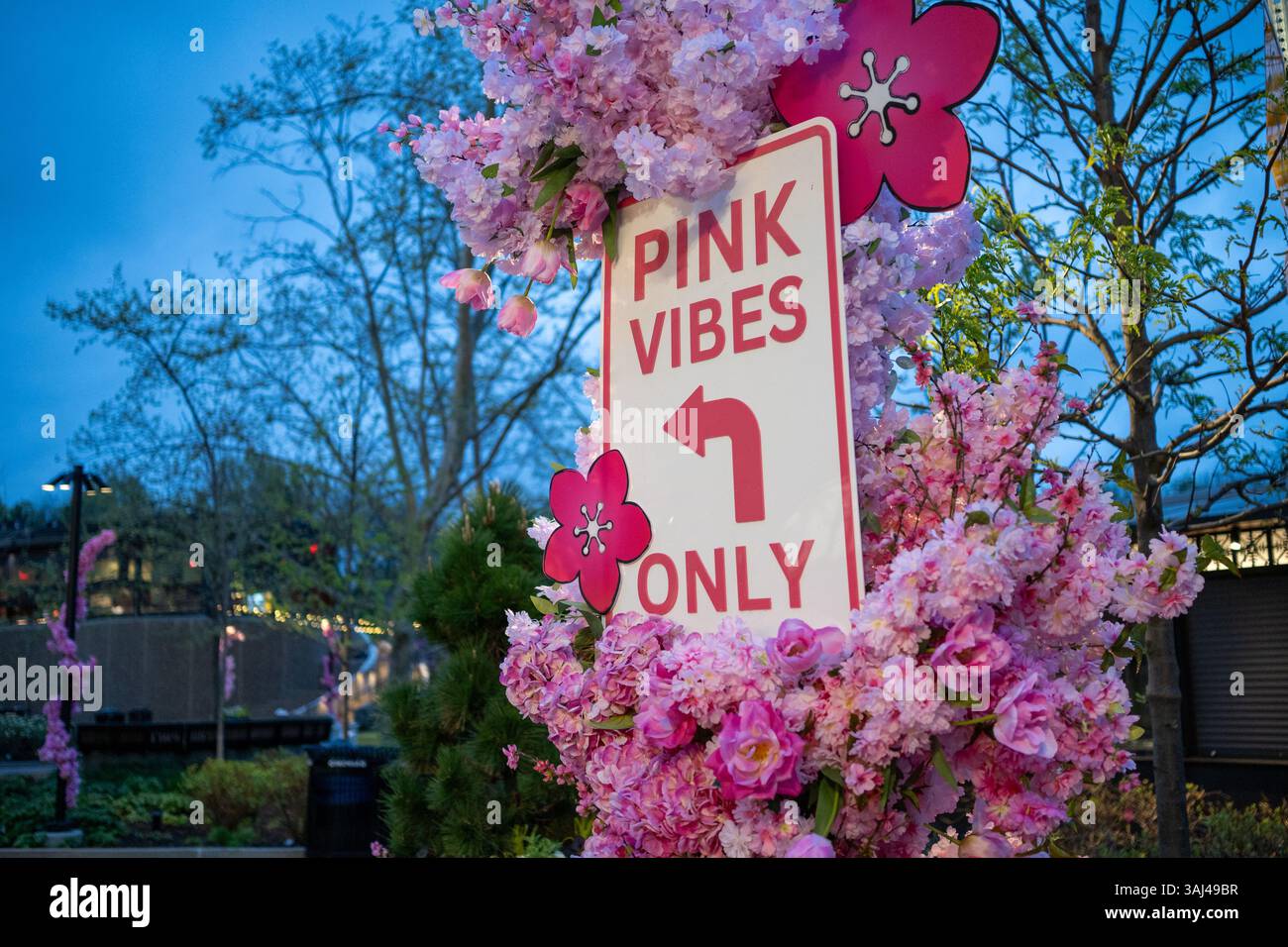 ARLINGTON, Virginia - Un cartello "Pink Vibes Only" segna l'ingresso all'area del parco acquatico di Crystal City durante la stagione della fioritura dei ciliegi. La vibrante segnaletica rosa accoglie i visitatori in questo spazio ricreativo urbano nel quartiere di Crystal City ad Arlington. La decorazione stagionale coincide con il National Cherry Blossom Festival, celebrato in tutta l'area metropolitana di Washington DC. Il parco acquatico di Crystal City offre fontane e spazi pubblici che attirano visitatori durante la stagione primaverile. Foto Stock