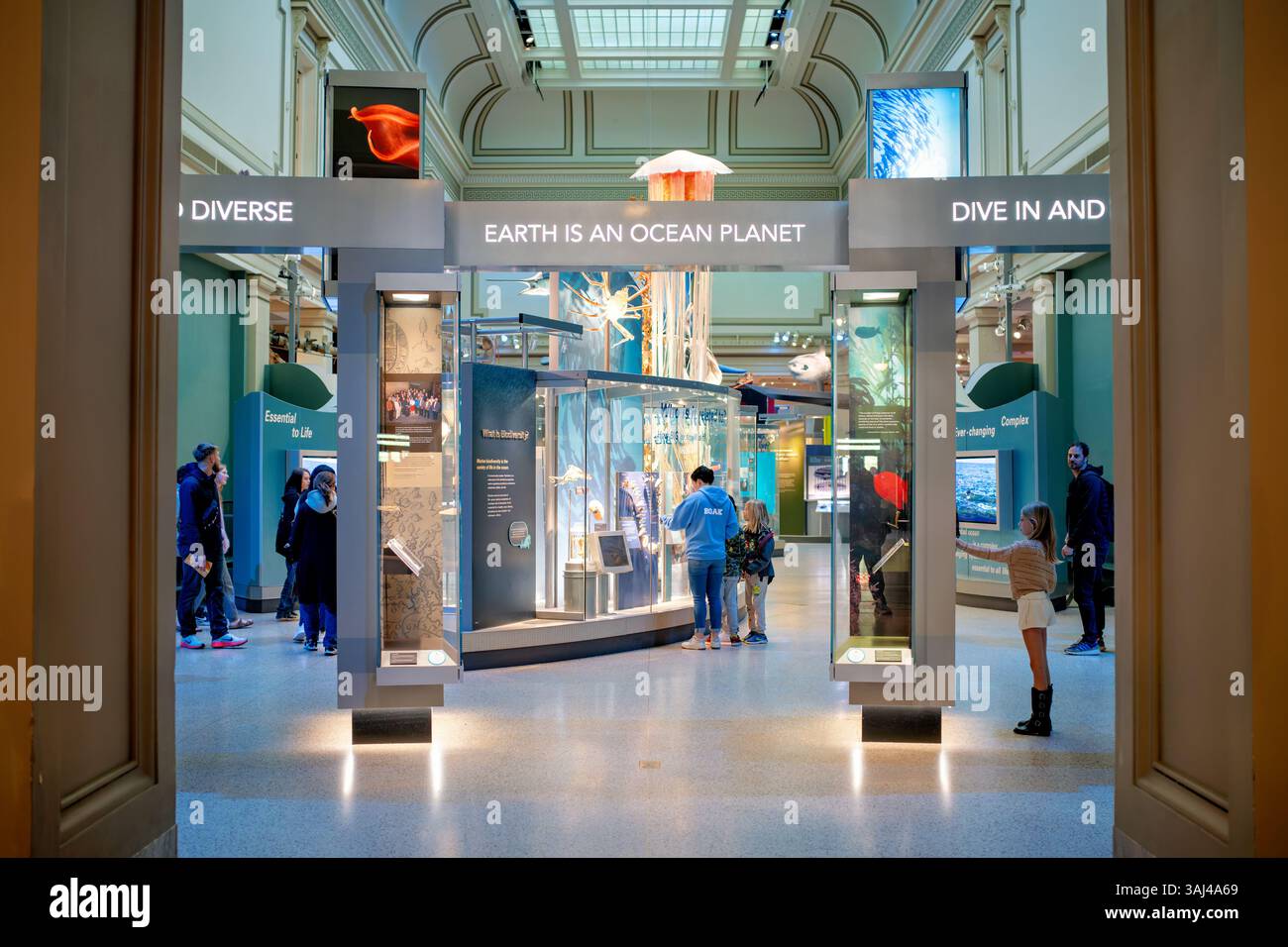 WASHINGTON DC - la Sant Ocean Hall dello Smithsonian National Museum of Natural History ospita una mostra completa di vita marina ed ecosistemi. Inaugurata nel 2008, questa galleria di 000 metri quadrati è la più grande mostra permanente del museo, contenente oltre 600 esemplari e modelli. La sala è ancorata a un modello a grandezza naturale di Phoenix, una balena destra del Nord Atlantico, e include un raro esemplare di calamari giganti, rendendolo una destinazione privilegiata per l'educazione e l'esplorazione oceanica. Foto Stock