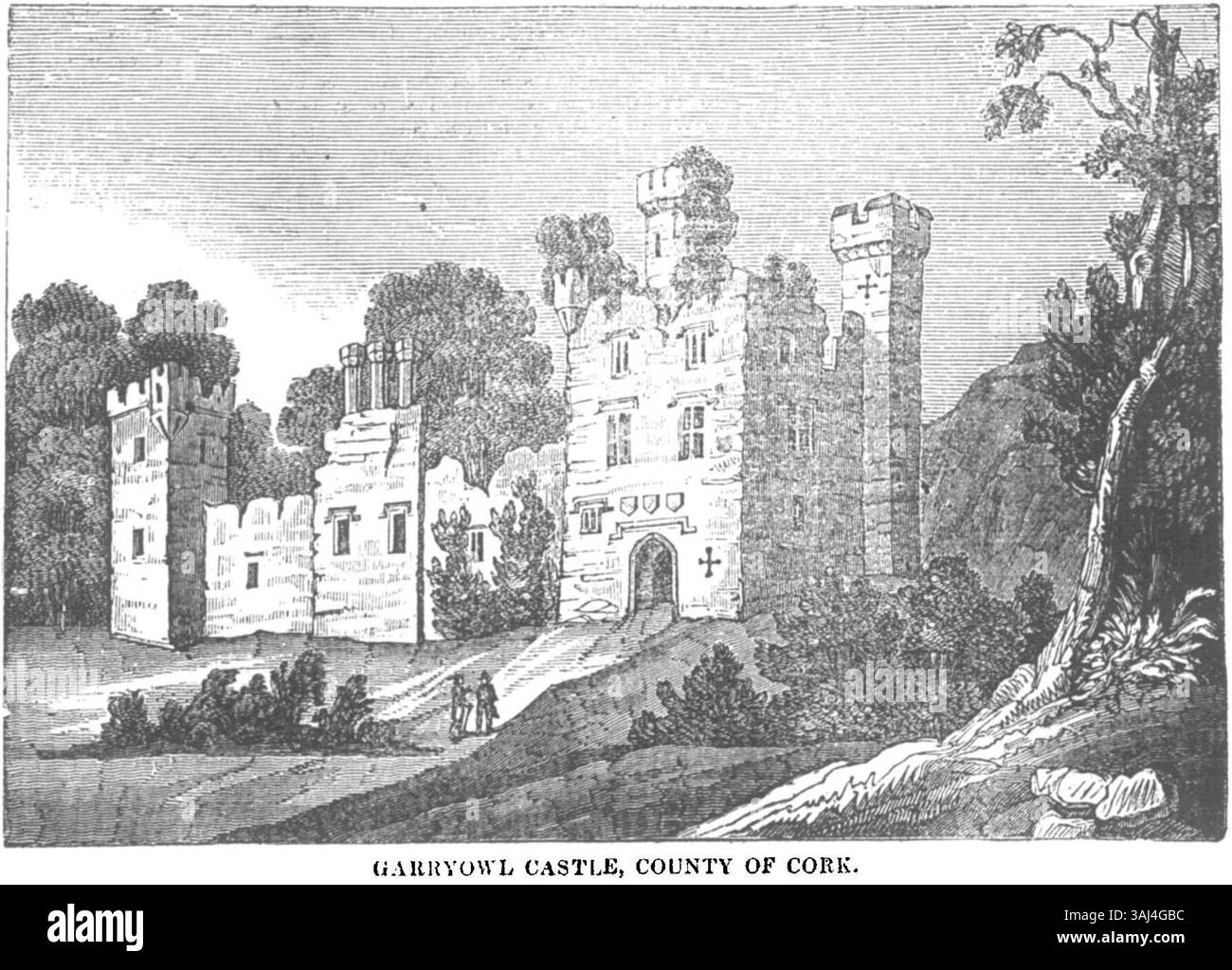 Il castello di Garryowl nella contea di Cork fu raffigurato nel 1836 nel "The Dublin Penny Journal". Questa immagine fornisce informazioni sulle caratteristiche architettoniche del castello e sul suo significato nella storia locale della zona. Foto Stock