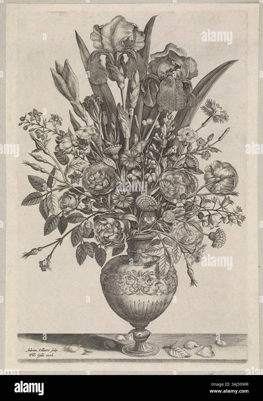 L'incisione di Adriaen Collaert, "vaso med blomster", creata intorno al 1595, presenta una disposizione floreale finemente dettagliata in un vaso. L'incisione, ospitata nello Statens Museum for Kunst, cattura la complessità delle illustrazioni botaniche durante la fine del XVI secolo. Foto Stock