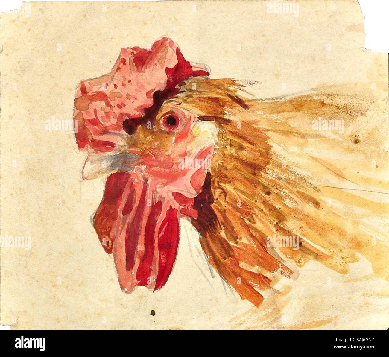 Questo studio di Gennady Ladyzhensky, creato tra il 1873 e il 1881, ritrae uno studio dettagliato della testa di un gallo. L'artista si è concentrato sulla cattura delle texture, delle caratteristiche e dell'anatomia dell'uccello, mostrando le sue abilità tecniche nel rendering delle forme naturali. Foto Stock Questo studio di Gennady Ladyzhensky, creato tra il 1873 e il 1881, ritrae uno studio dettagliato della testa di un gallo. L'artista si è concentrato sulla cattura delle texture, delle caratteristiche e dell'anatomia dell'uccello, mostrando le sue abilità tecniche nel rendering delle forme naturali. Foto Stock