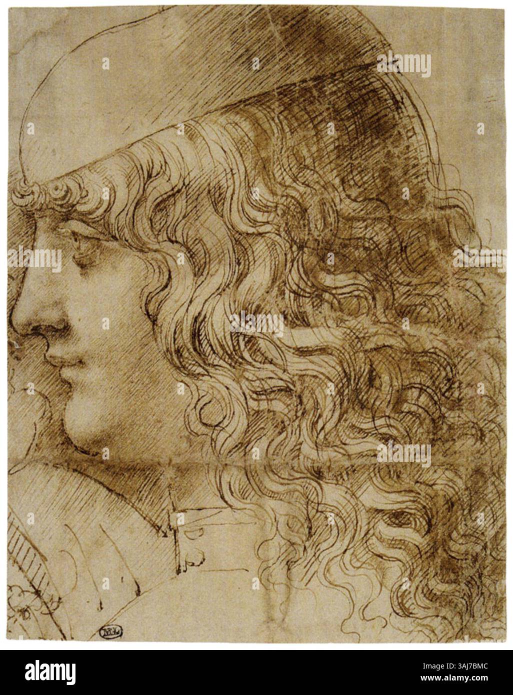 Questo disegno, attribuito a Francesco Napoletano (c. 1488-90), mostra un giovane di profilo, eseguito a penna e inchiostro con lavaggio. È forse legato ai soggetti di Leonardo nel "Busto di gioventù in profilo" e nel "Ritratto di musicista". Il disegno è ospitato al Louvre di Parigi. Foto Stock