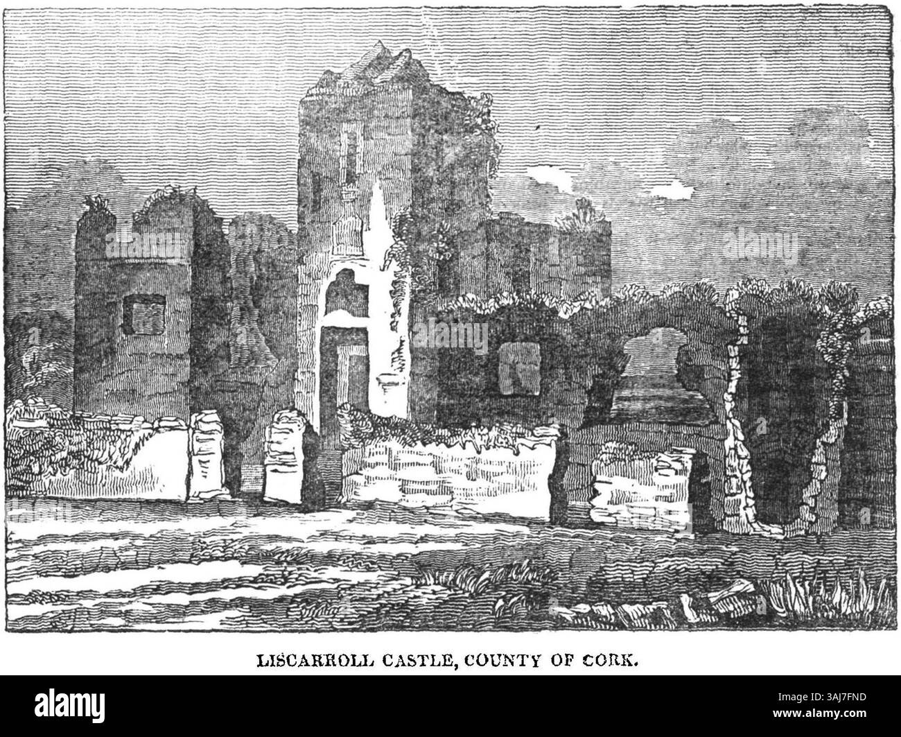 Un'incisione del castello di Liscarroll situata nella contea di Cork, Irlanda, pubblicata sul Dublin Penny Journal nel 1834. L'articolo è una rappresentazione storica del castello. Foto Stock