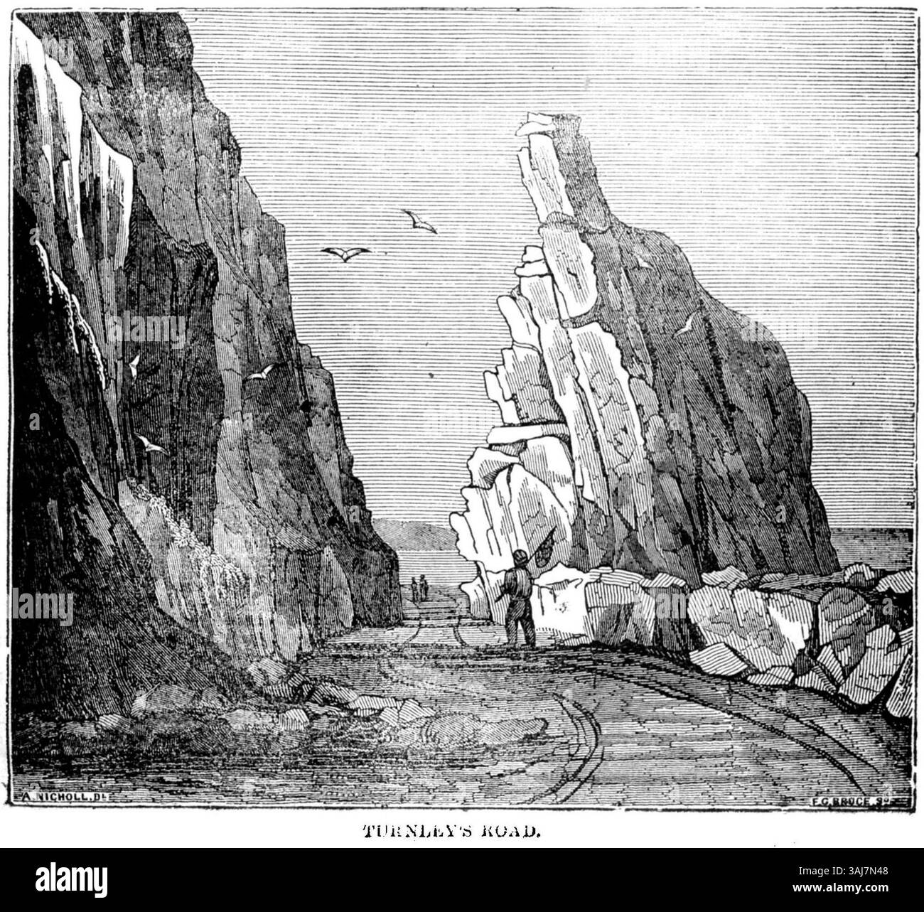 Turnley's Road è presente in "A Guide to the Giants' Causeway" dal Dublin Penny Journal, volume 2. Questa sezione della guida evidenzia il collegamento della strada con il paesaggio e la sua vicinanza ai siti significativi dell'Irlanda del Nord. Foto Stock