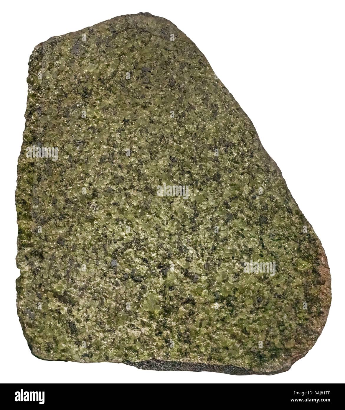 Forsterite con Fayalite a Basalt, Gila Co, Arizona Foto Stock