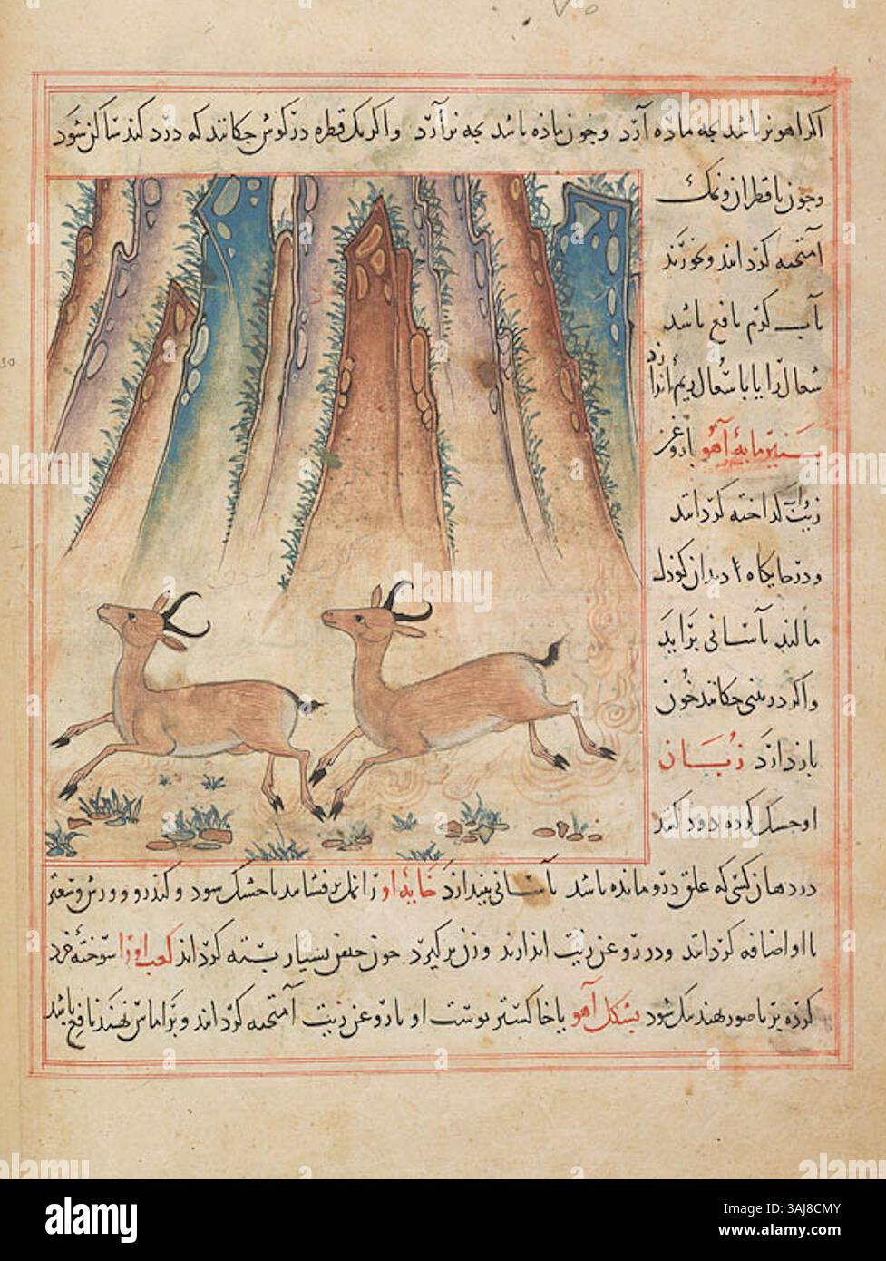 Questa illustrazione tratta da un manoscritto del XIII secolo mostra due gazzelle, sapientemente realizzate per trasmettere i loro delicati e graziosi movimenti. L'attenzione ai dettagli naturalistici riflette le tradizioni artistiche persiane. Foto Stock