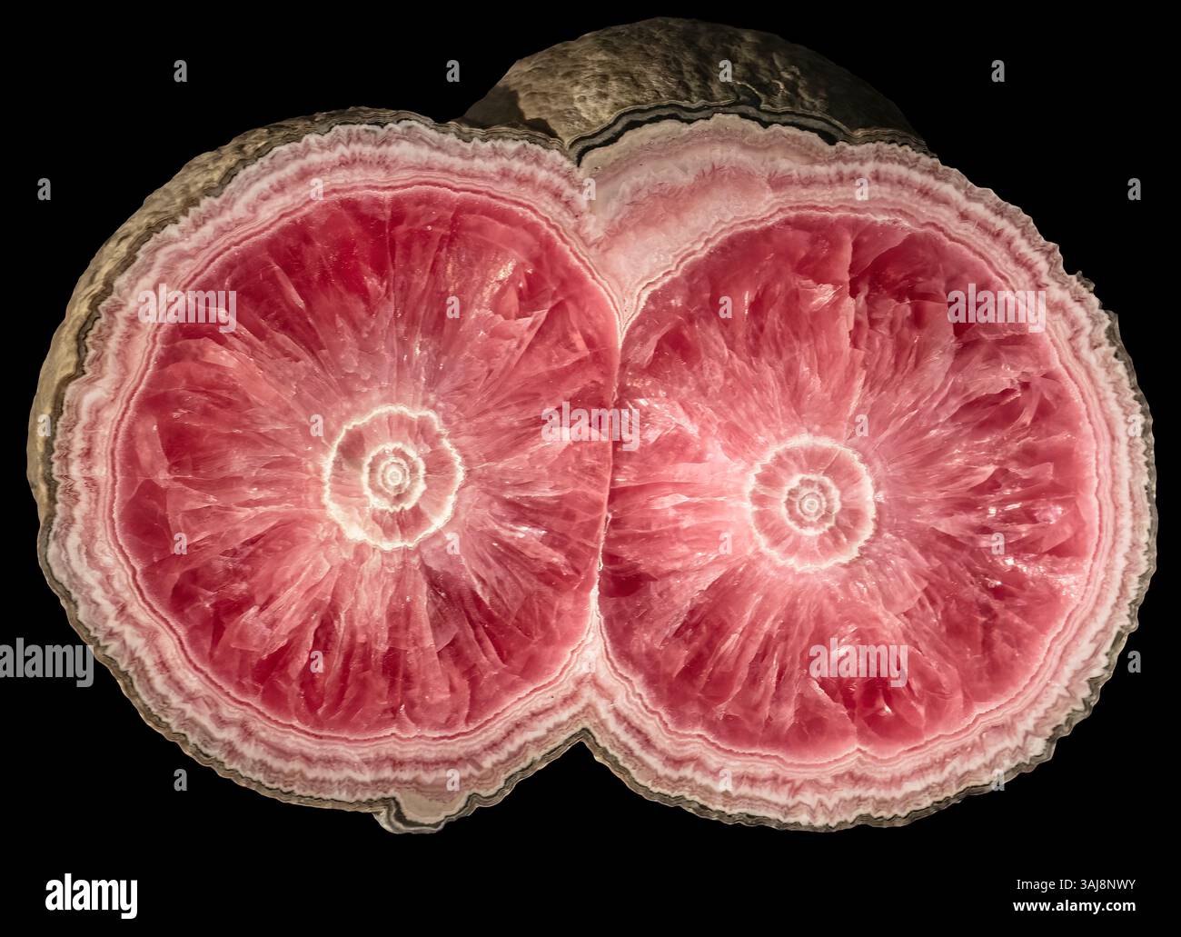 Rodocrosite stalattite, provincia di Catamarca, Argentina Foto Stock