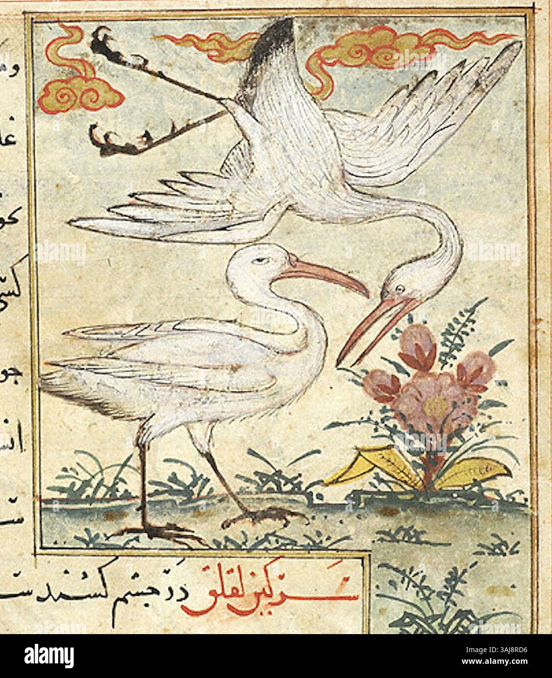 Questa illustrazione tratta dal manoscritto persiano MS M.500, risalente al 1297-1300, raffigura due uccelli in dettaglio naturalistico, mostrando le intricate raffigurazioni animali comuni nelle miniature persiane del periodo Ilkhanato. Foto Stock