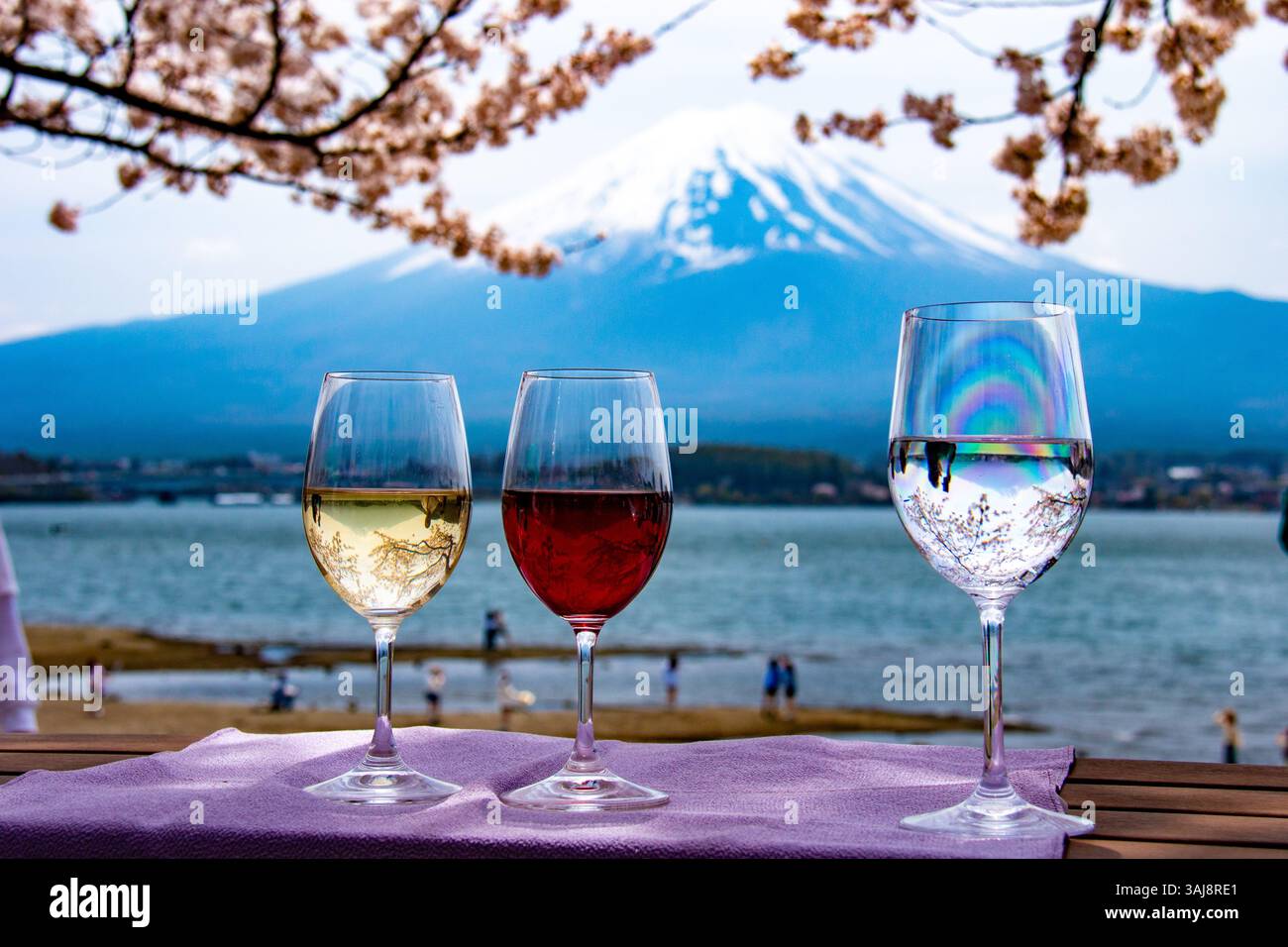 Ammira il monte invertito I fiori di Fuji e ciliegio si riflettono nel vino proveniente dalle rive del lago Kawaguchi Foto Stock