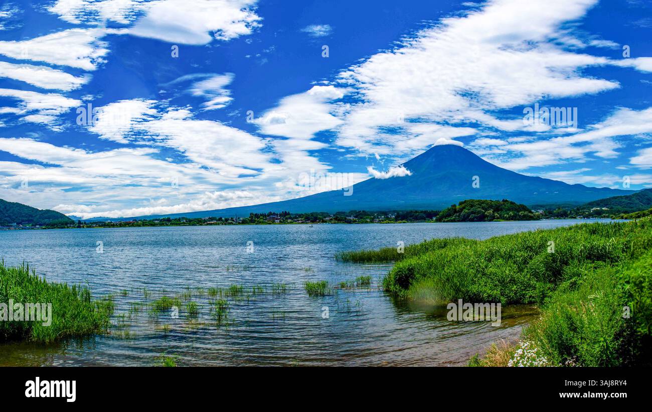 Vista spettacolare del monte Fuji in estate dalle rive del lago Kawaguchi Foto Stock